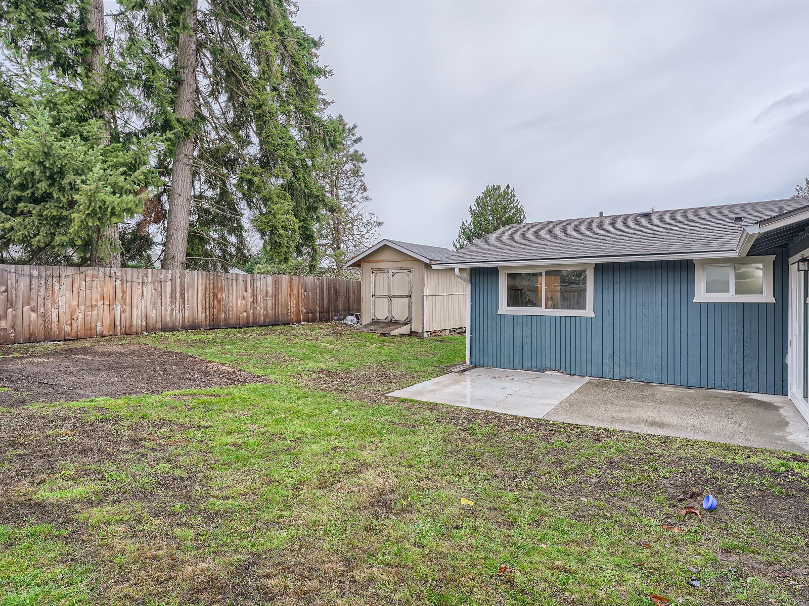 35 Back Yard.jpg