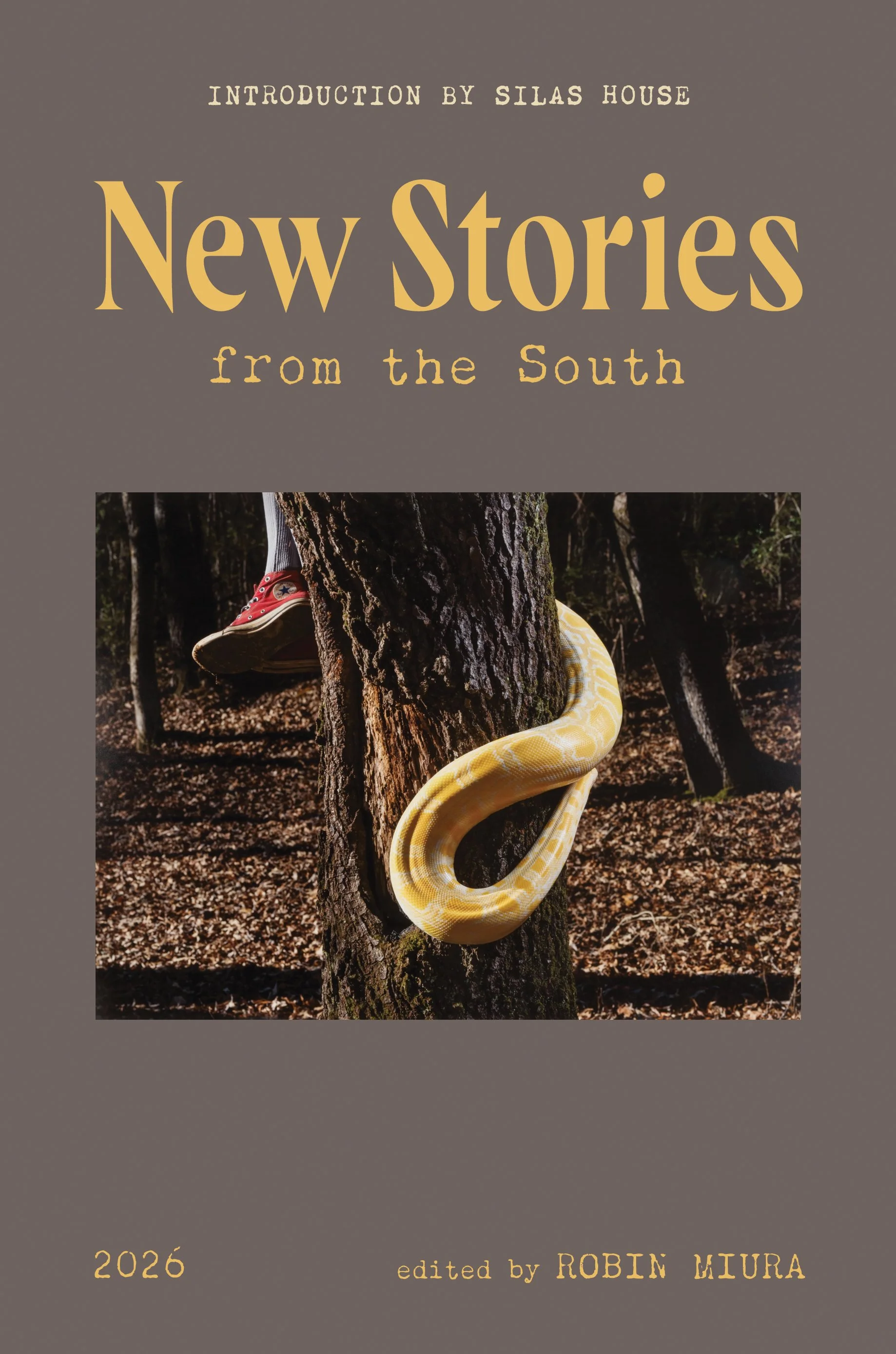 New Stories from the South 2026