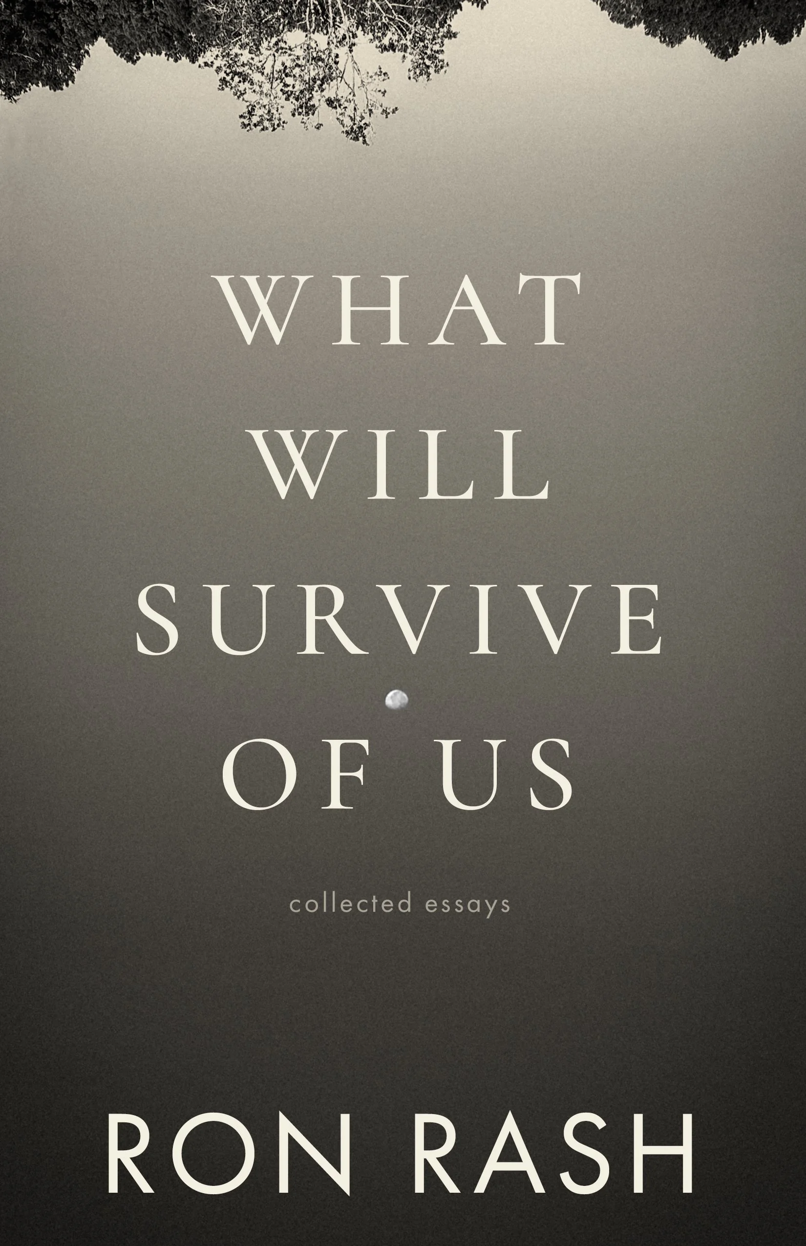 What Will Survive of Us: Collected Essays