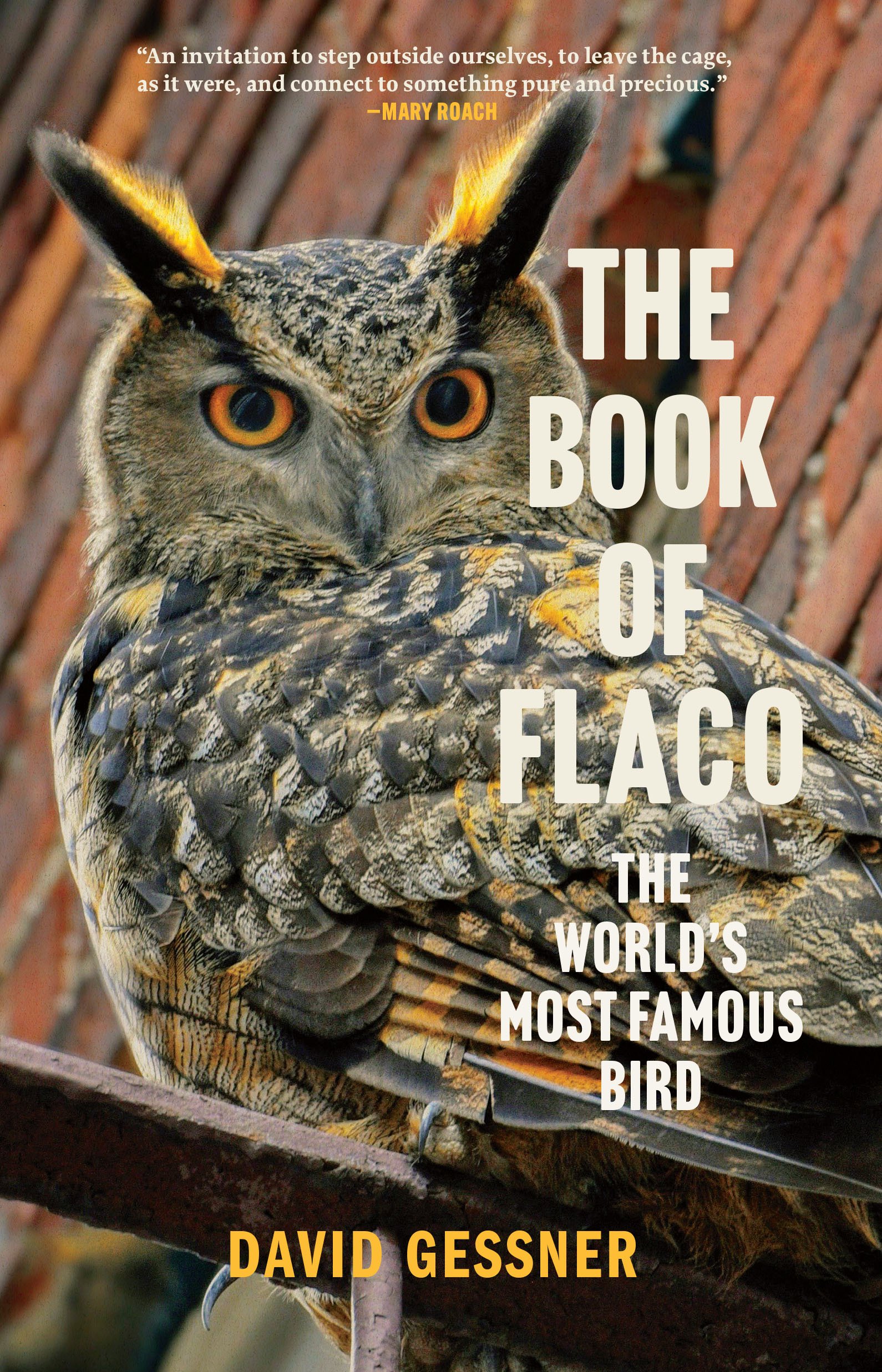 Book of Flaco_David Gessner_cover.jpg