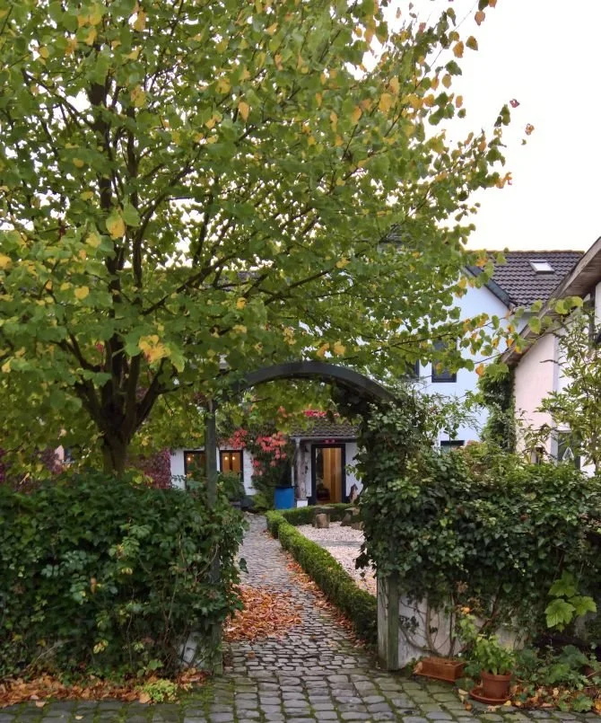 1 WP_20171007_07_56_42_Rich.jpeg