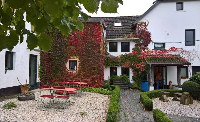 2 WP_20171008_16_31_16_Rich.jpeg