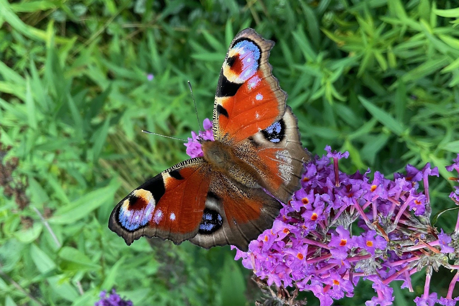 Szenische Lesung: Die Kostbarkeit von Lebenszeit