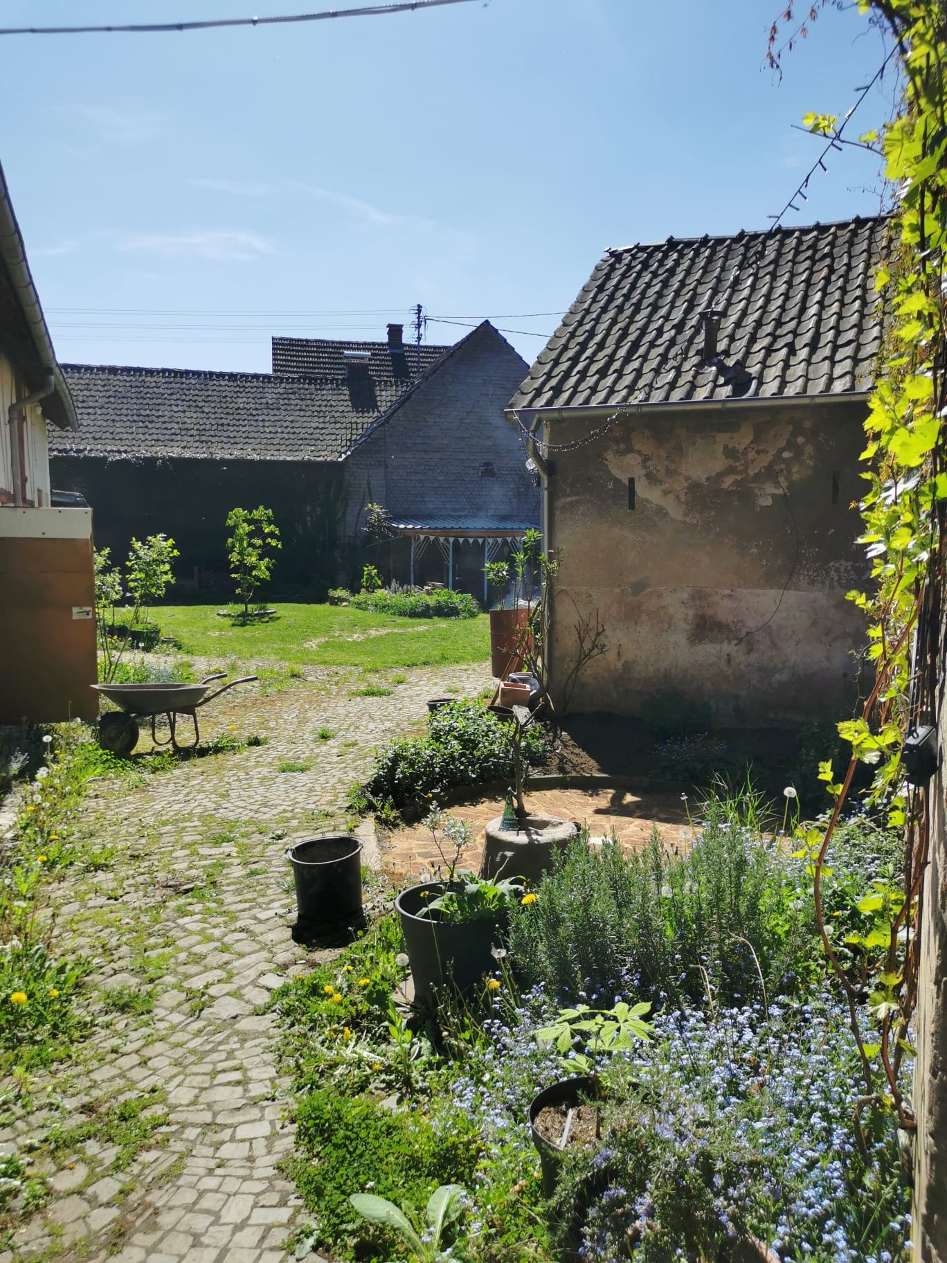 WhatsApp Image 2026-01-30 at 17.32.31.jpeg