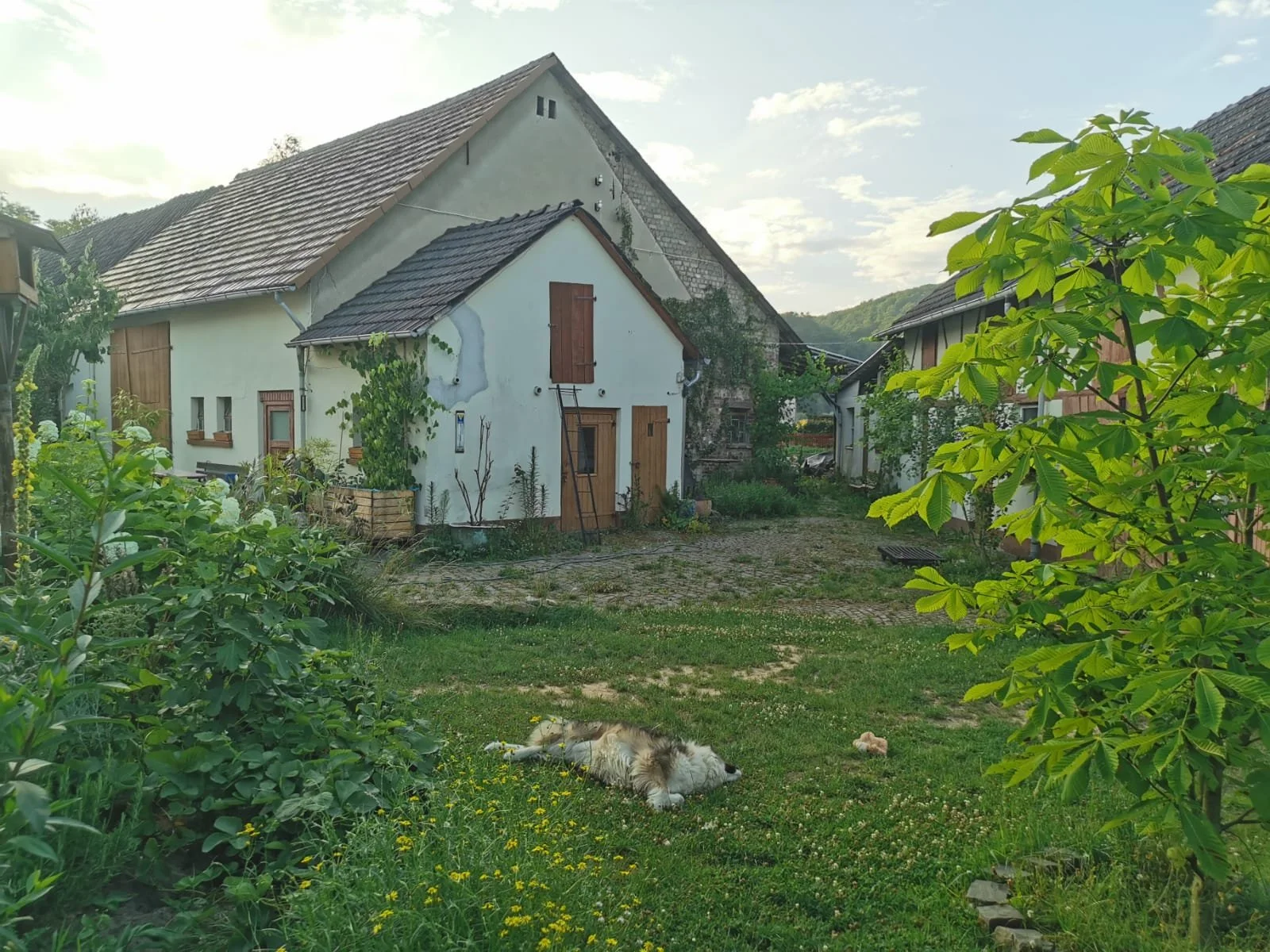 WhatsApp Image 2026-01-30 at 17.32.30.jpeg