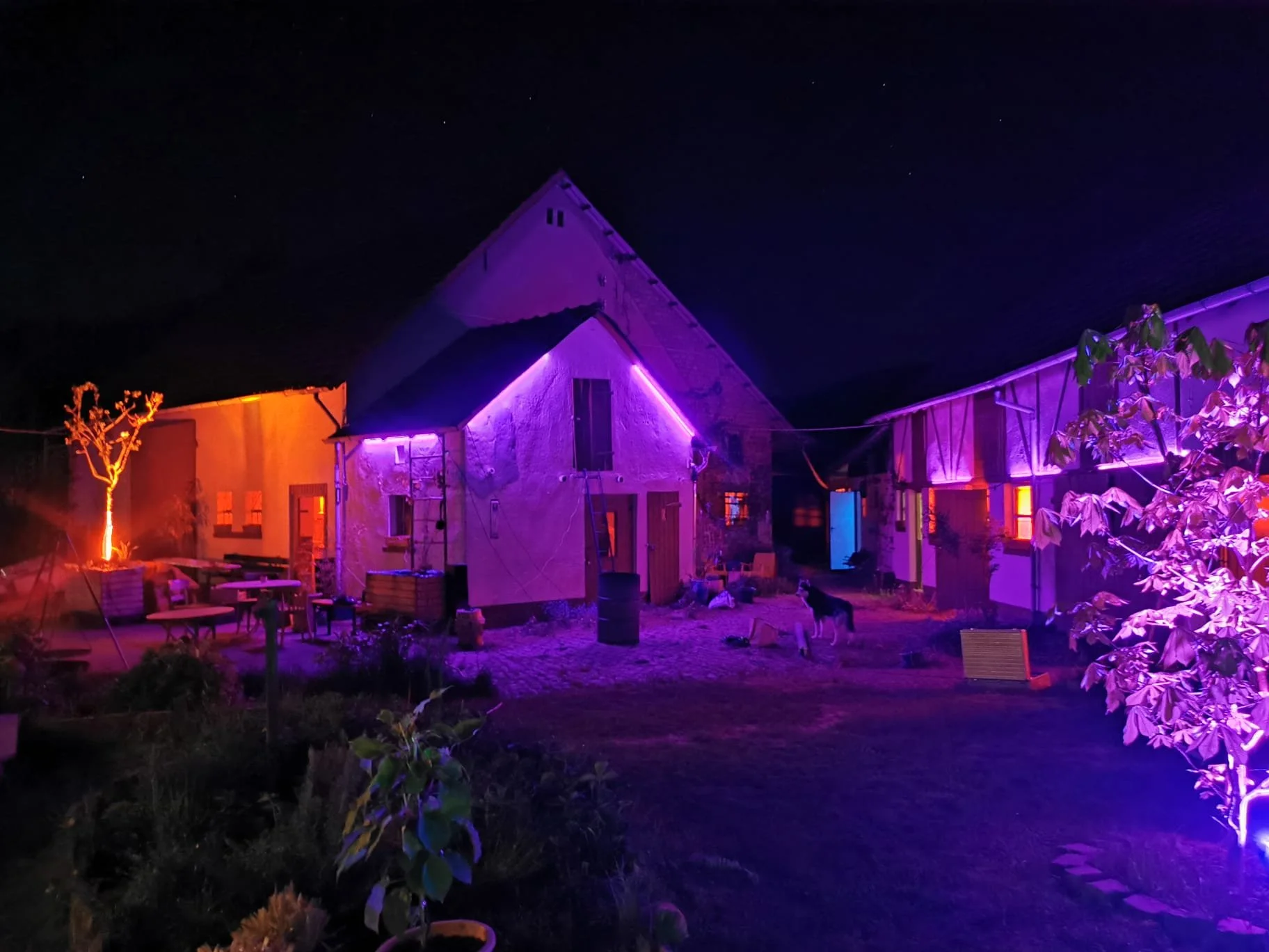 Schweinebar Open Air