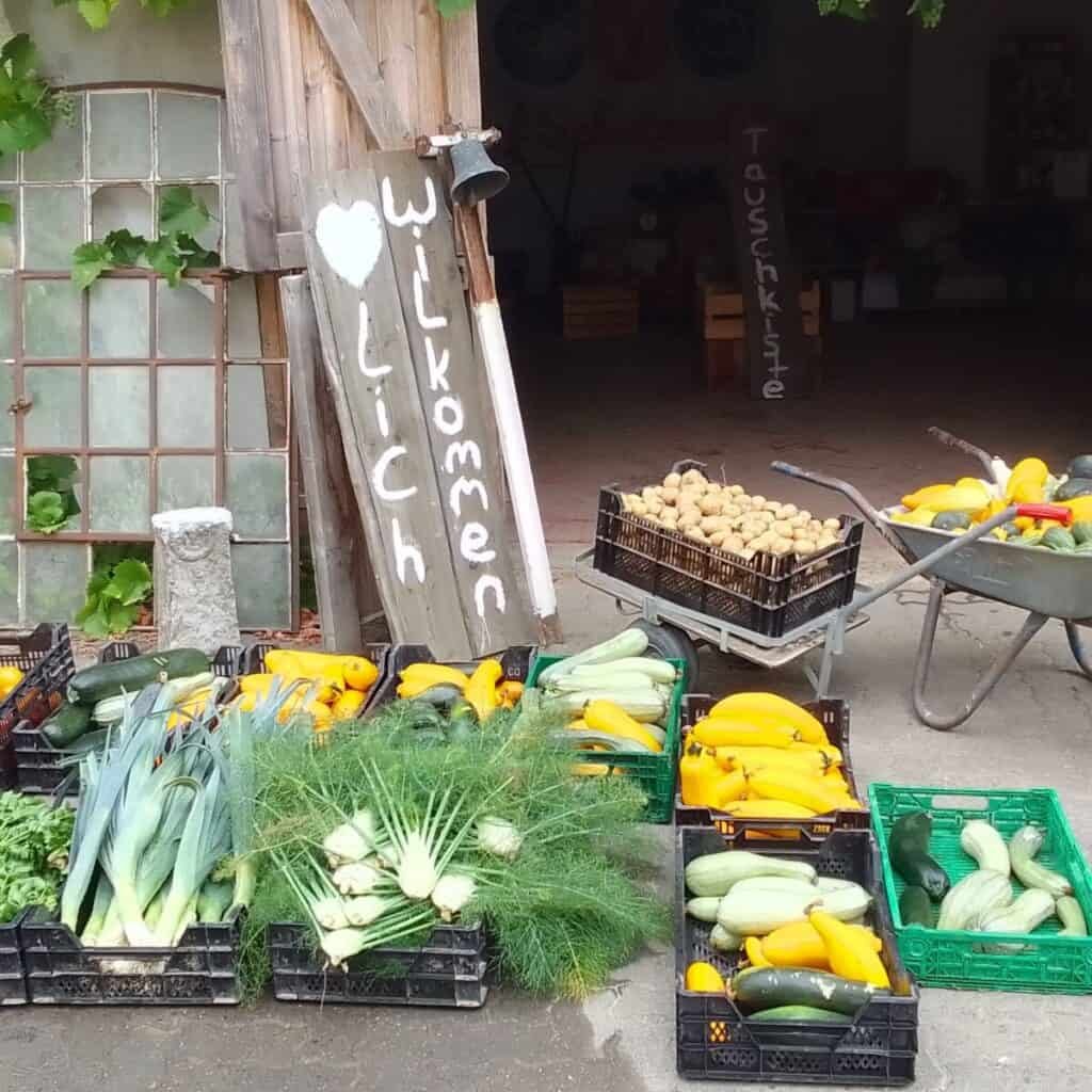 Erntefest und KennenLernTag der Solawi Wisserland