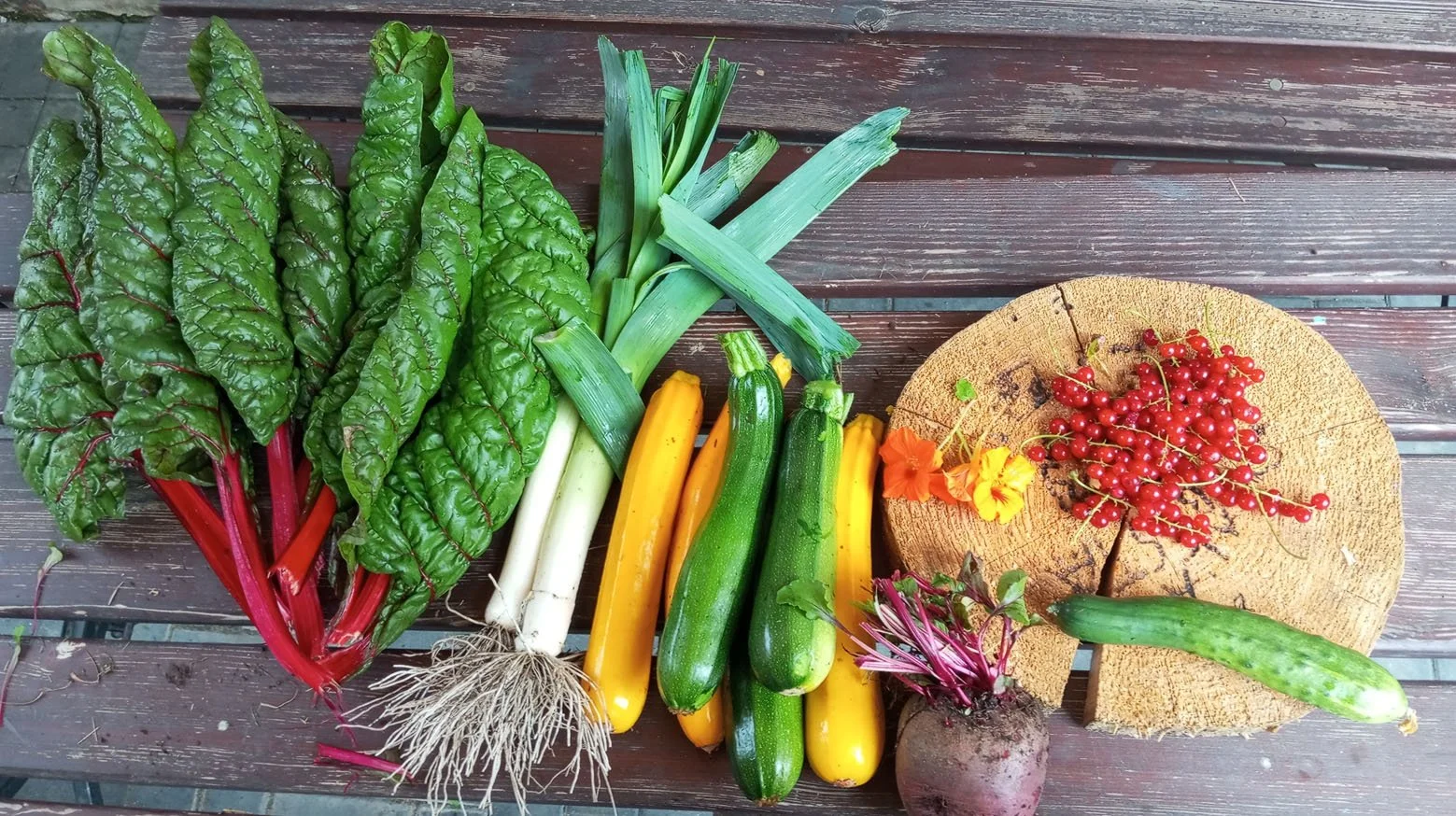 Workshop: Der eigene Gemüsegarten