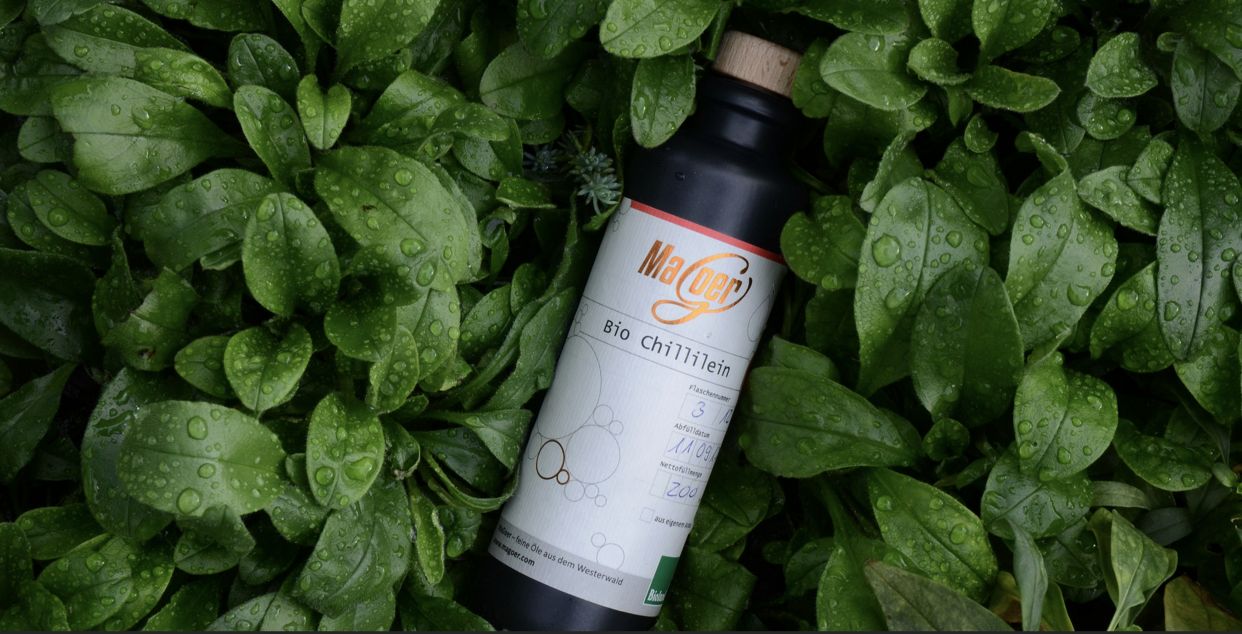 Unikum Unterwegs – zum Biolandhof “Alte Schmiede”