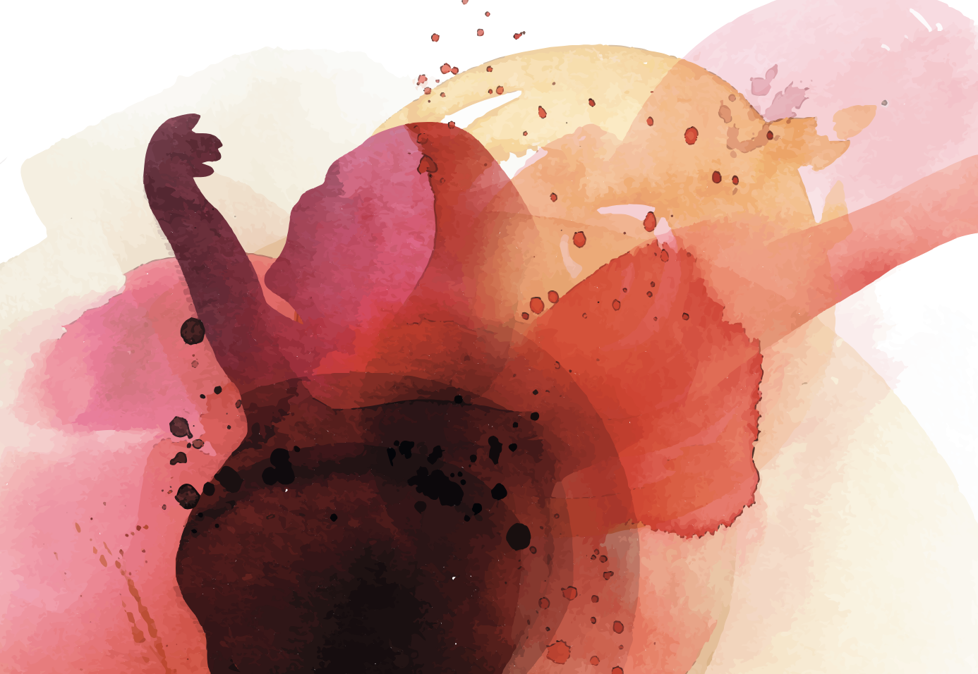 Lesung: “Frauenkörper ticken anders”