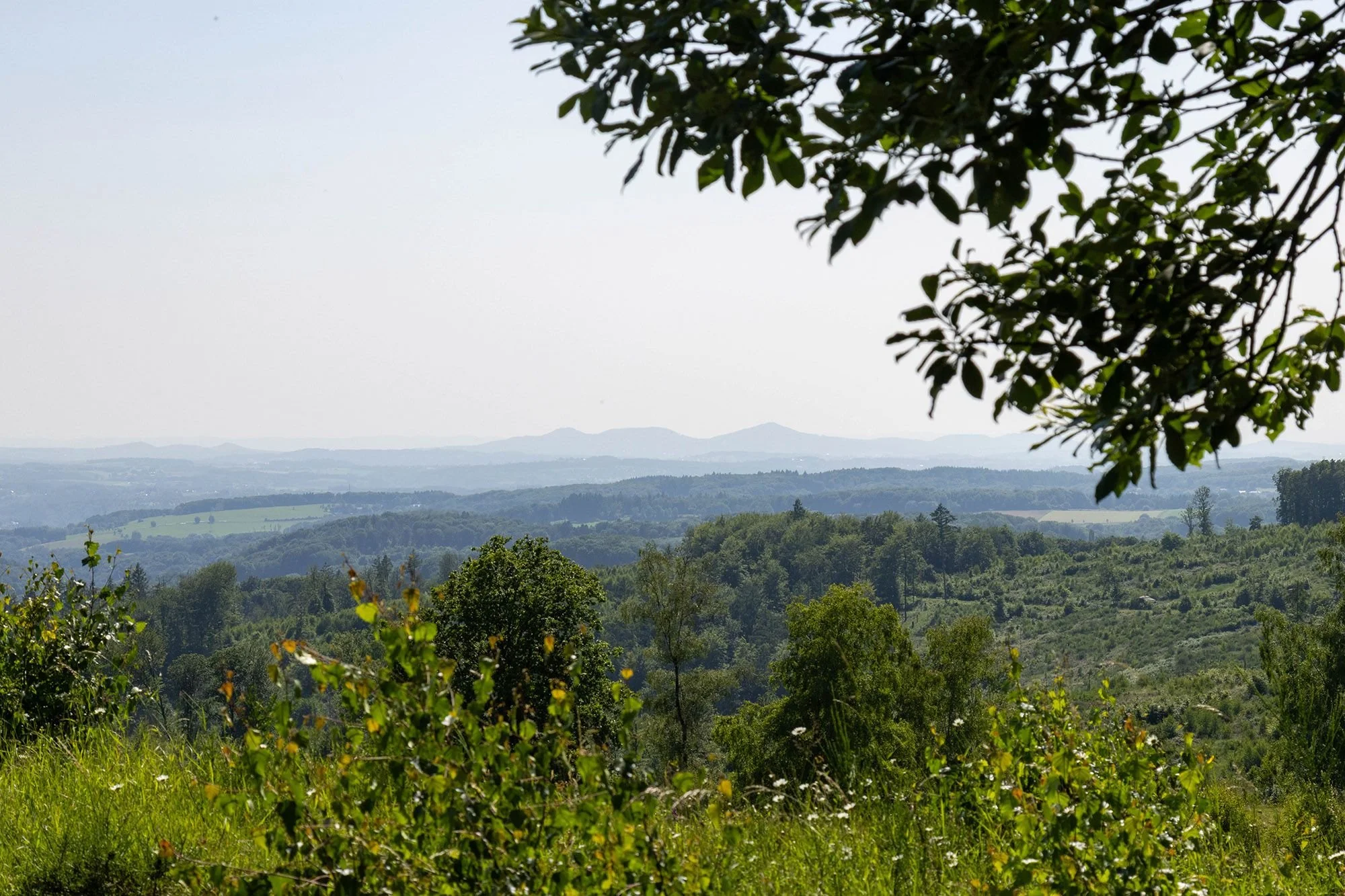 Radtour mit Rast am “Hohen Wäldchen” 