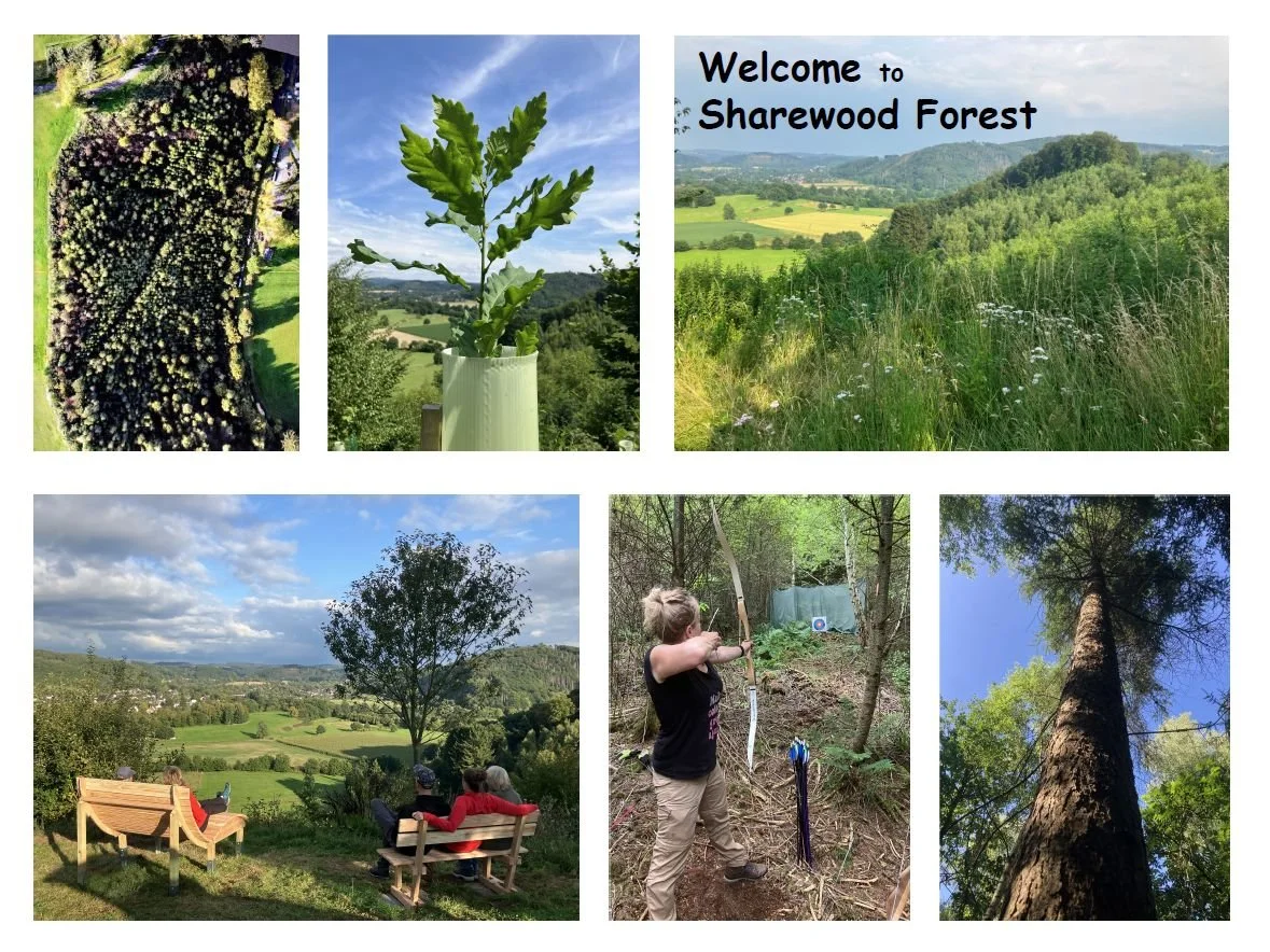 Erlebnisort Wald! Mit Bogenschießen und Übernachtung im Sharewood Forest.