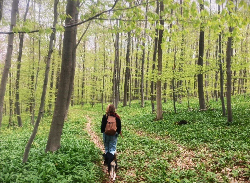 Waldbaden: Naturverbindung unter`m Blätterdach