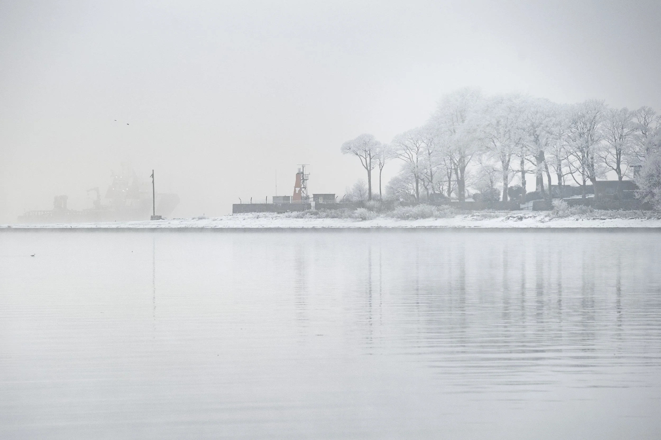 Dec 2010-3190.jpg