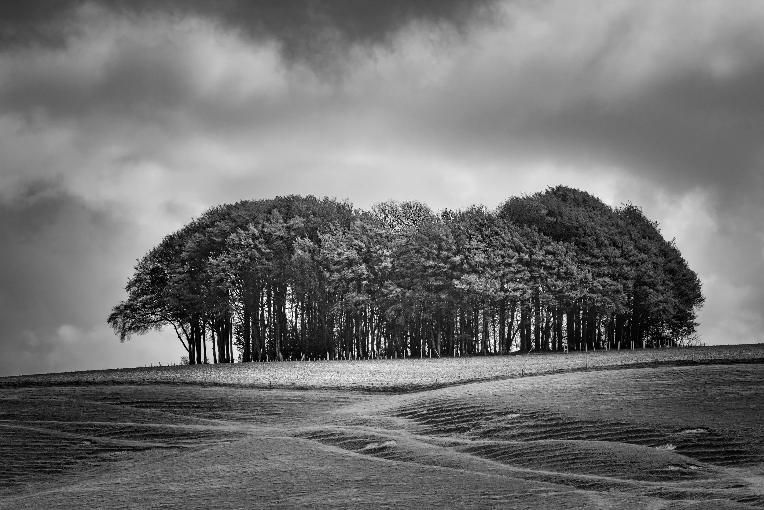 Winter VWH-7611-2.jpg