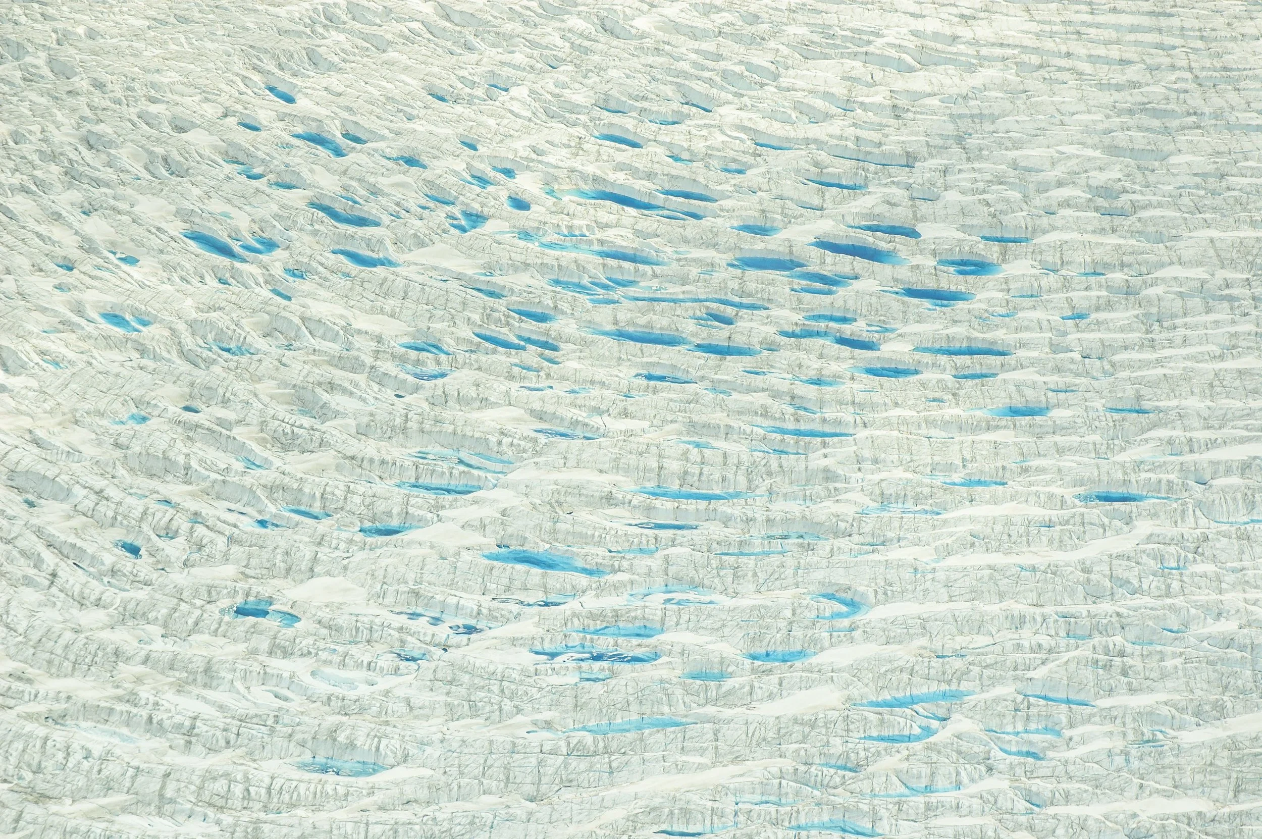 DSC_0091.jpg