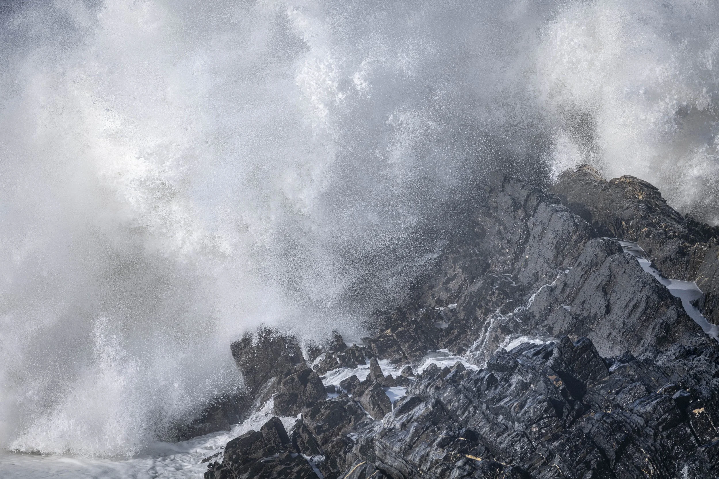 Winter VWH-1080267.jpg