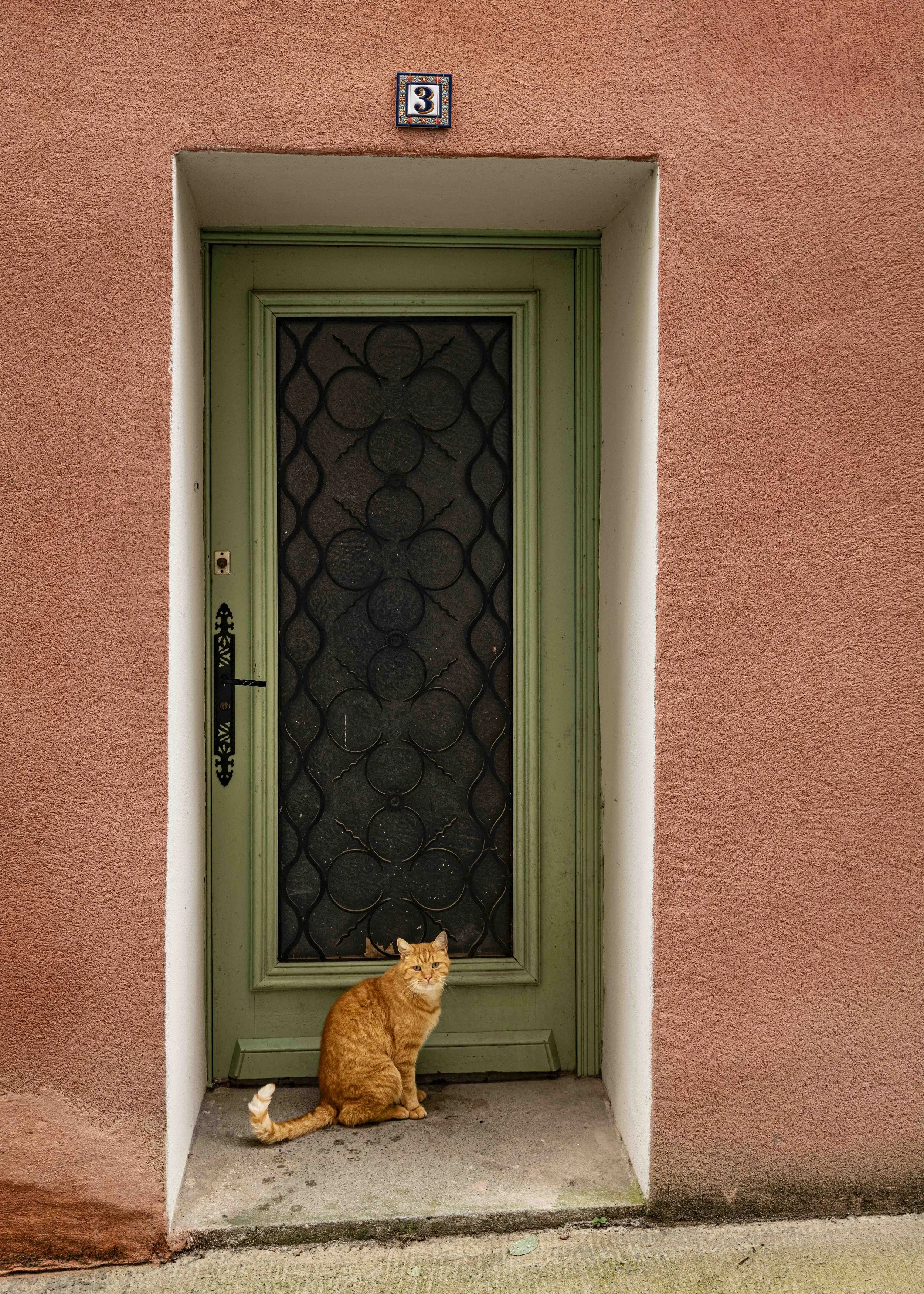 L1040266.jpg