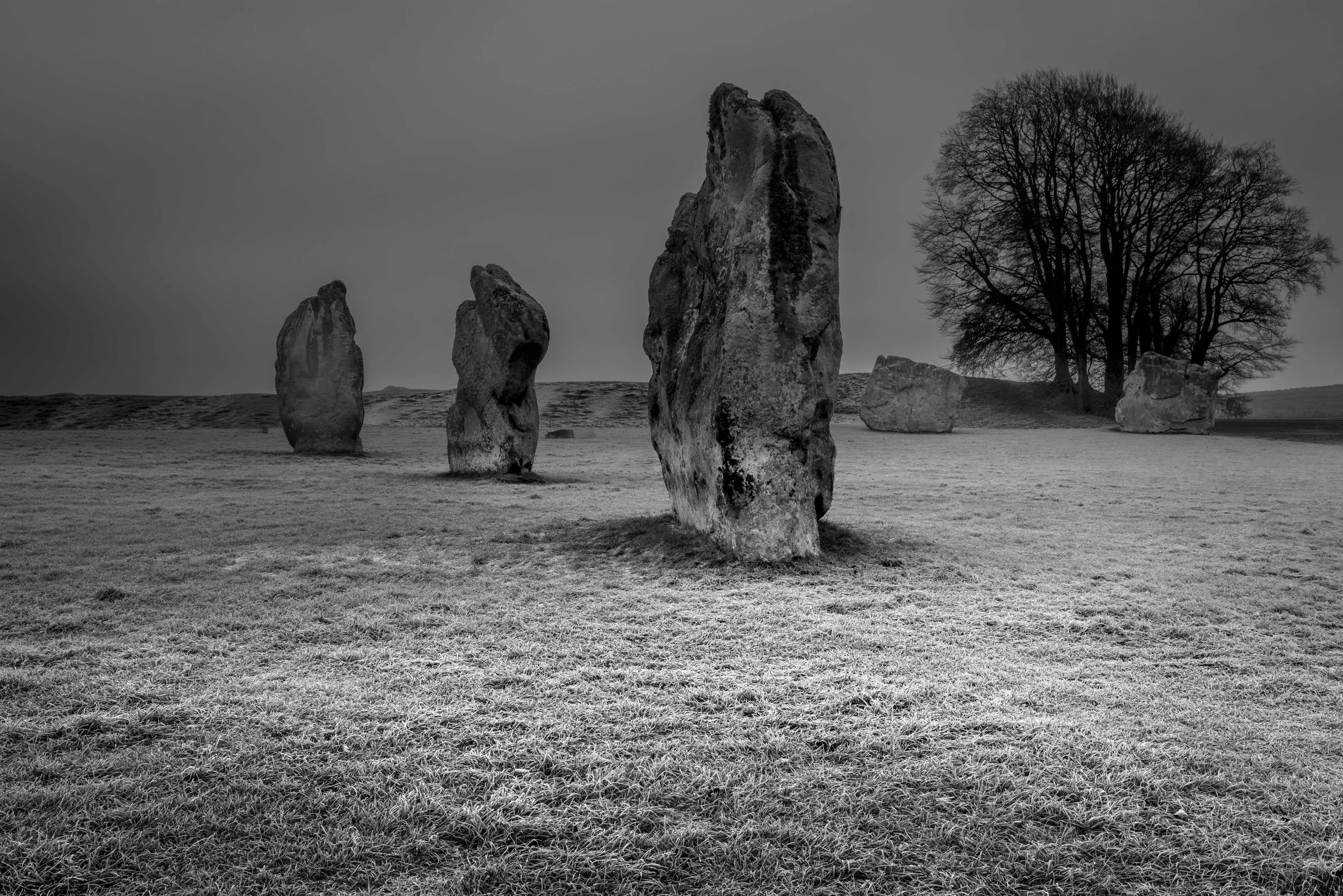 Winter VWH-1030546.jpg