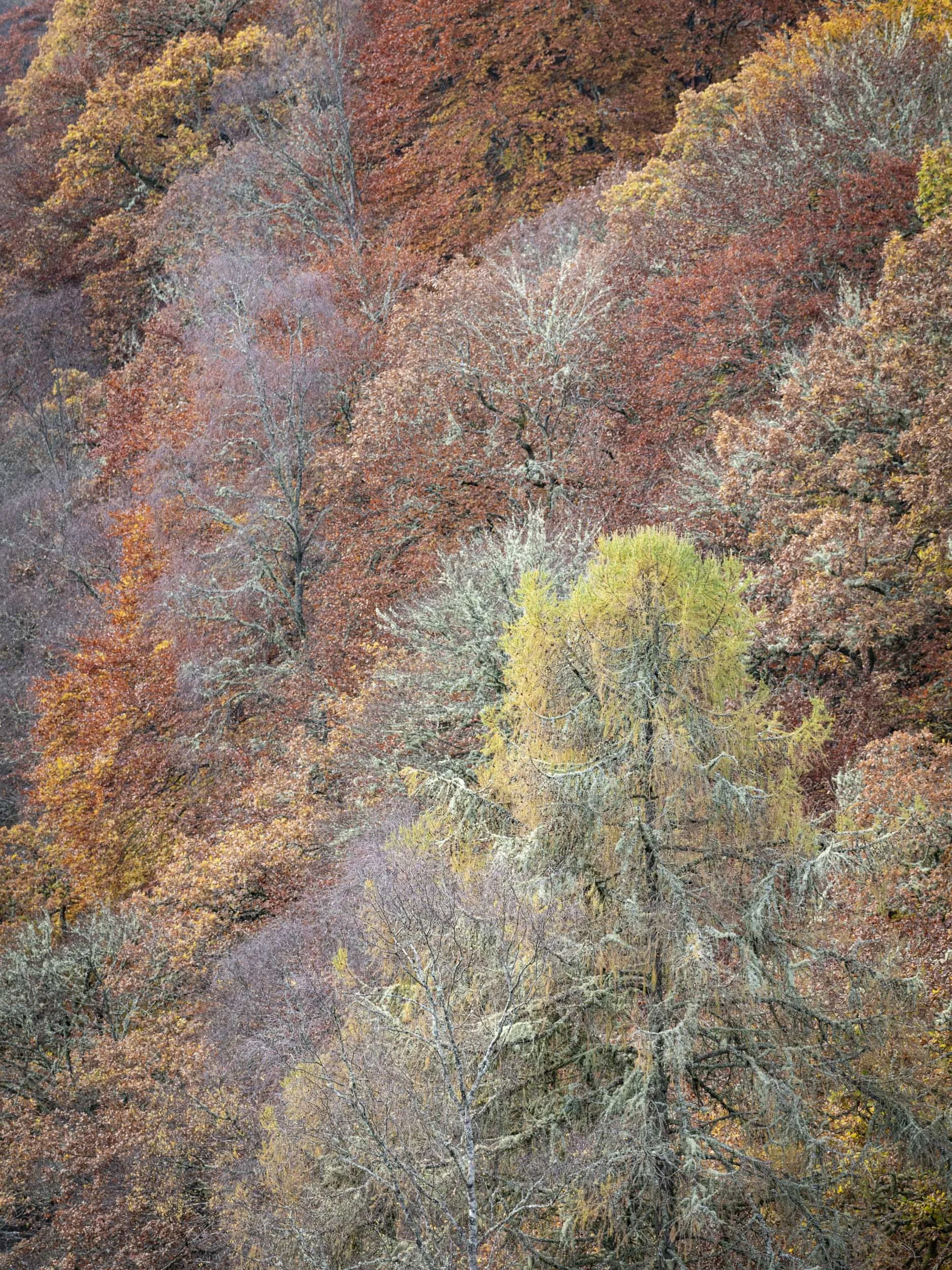 L1010309.jpg