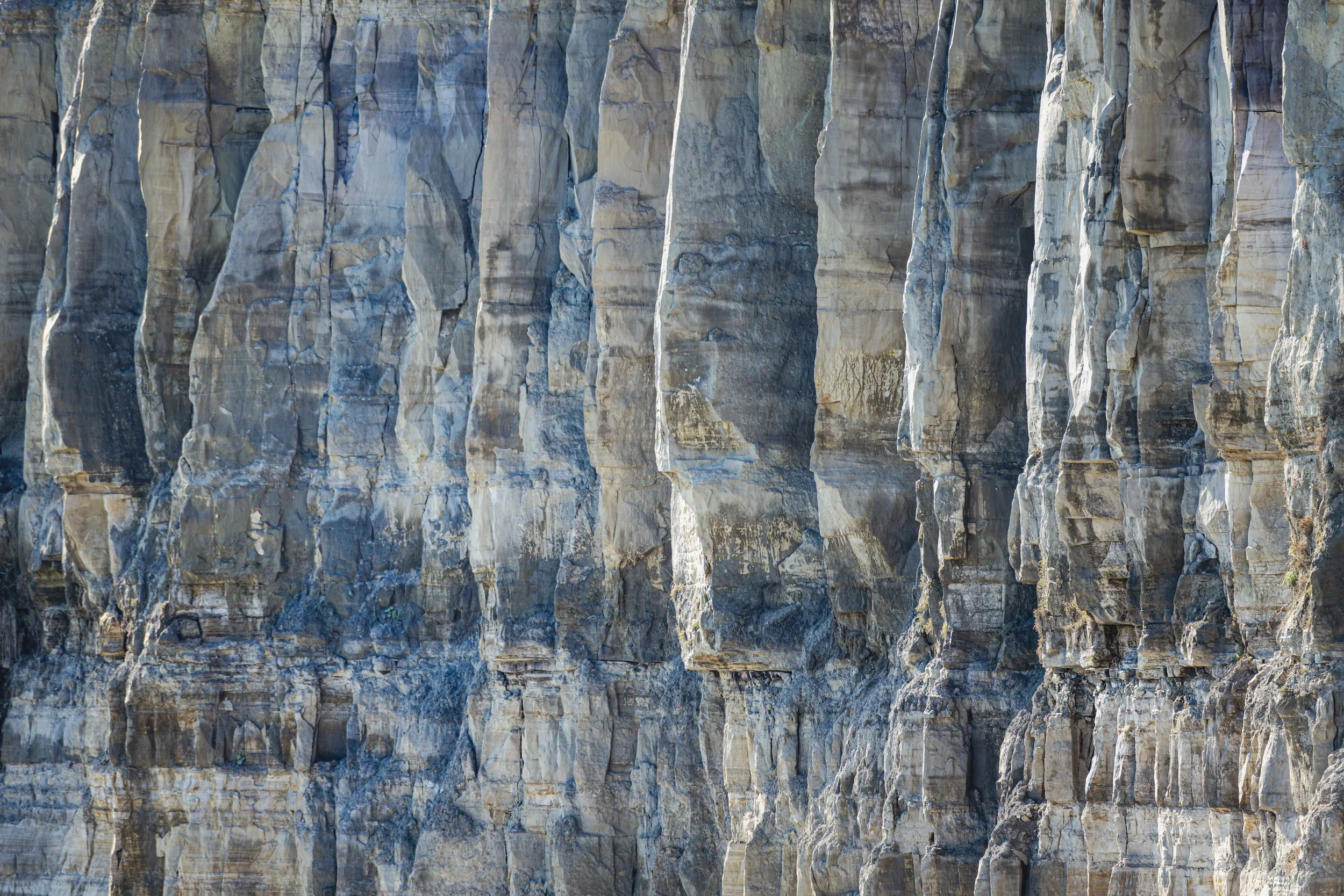 L1030824-Enhanced-NR.jpg