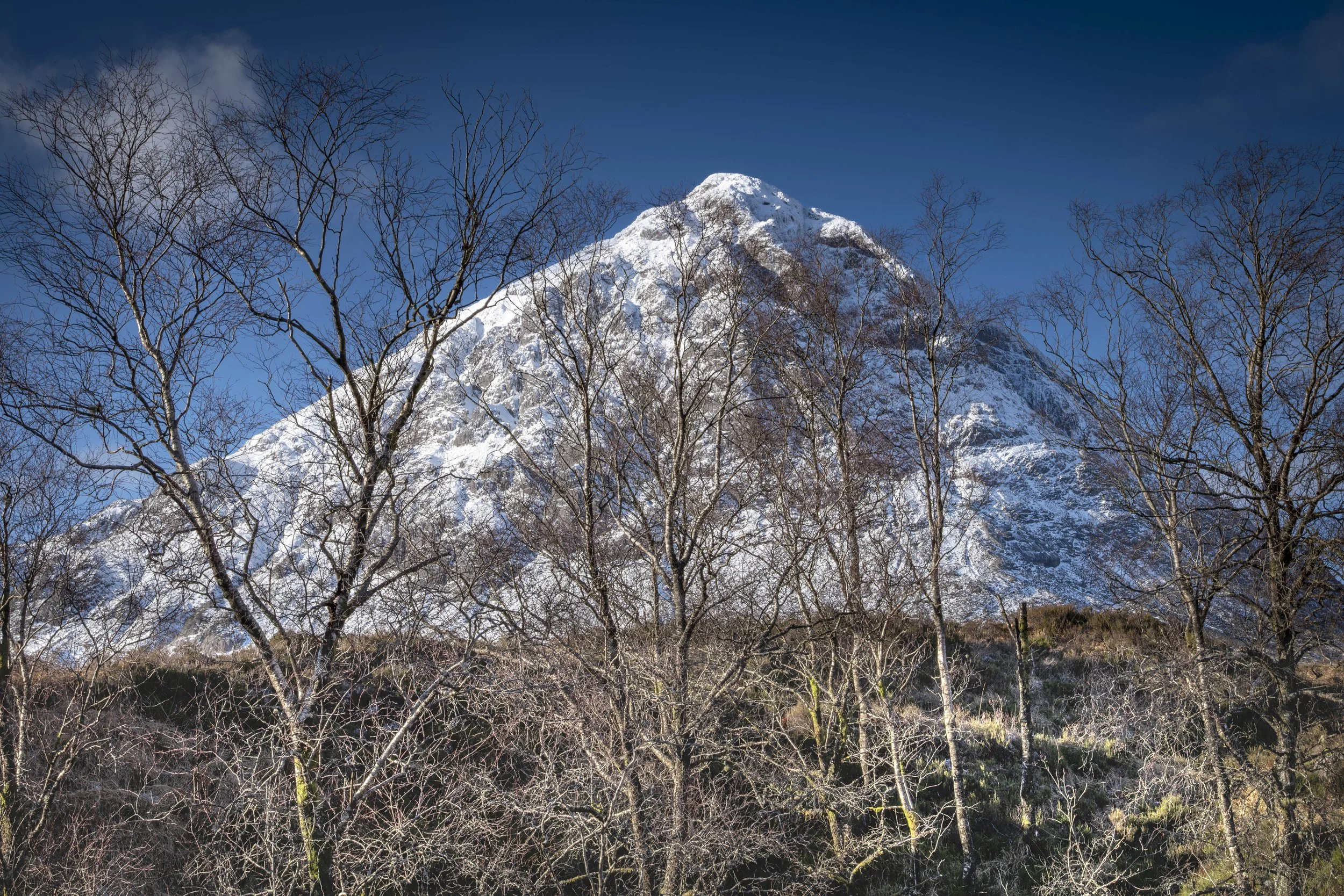 Winter VWH-1050993.jpg