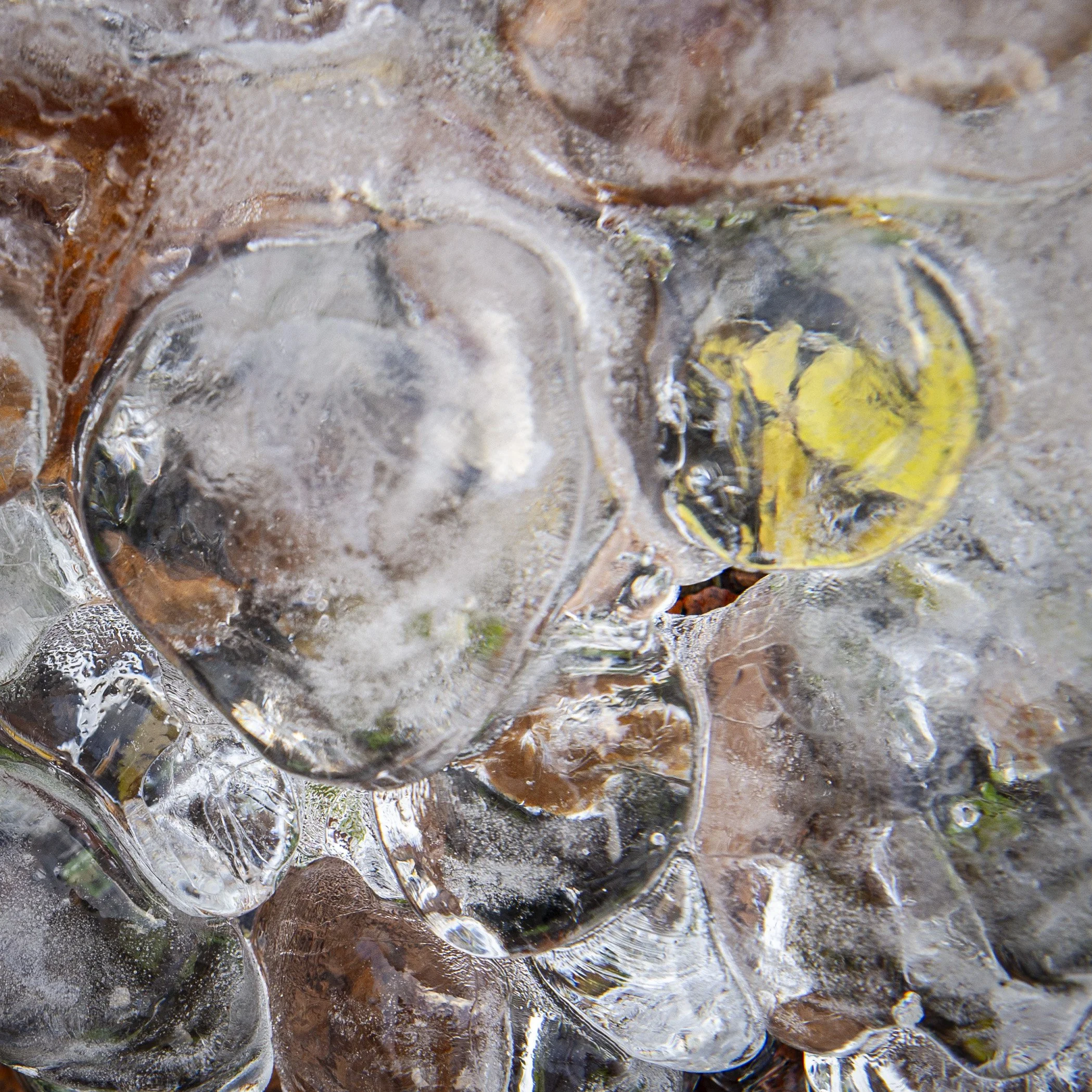 Ghosts in the Ice