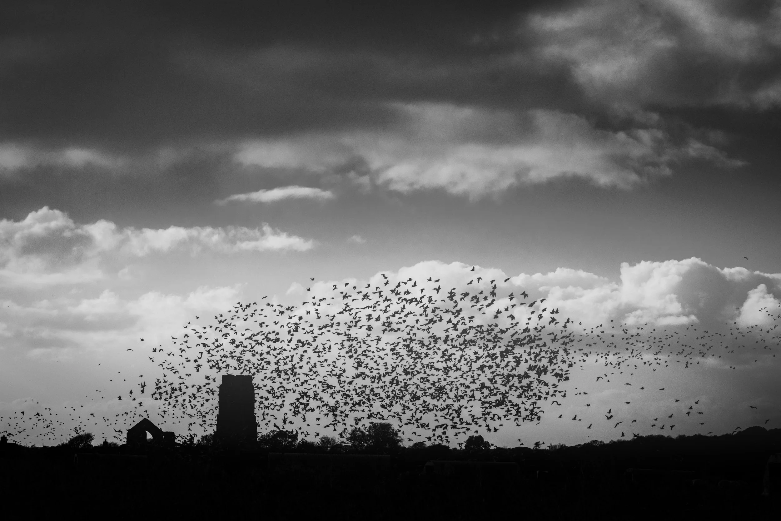 Winter VWH-1090417.jpg