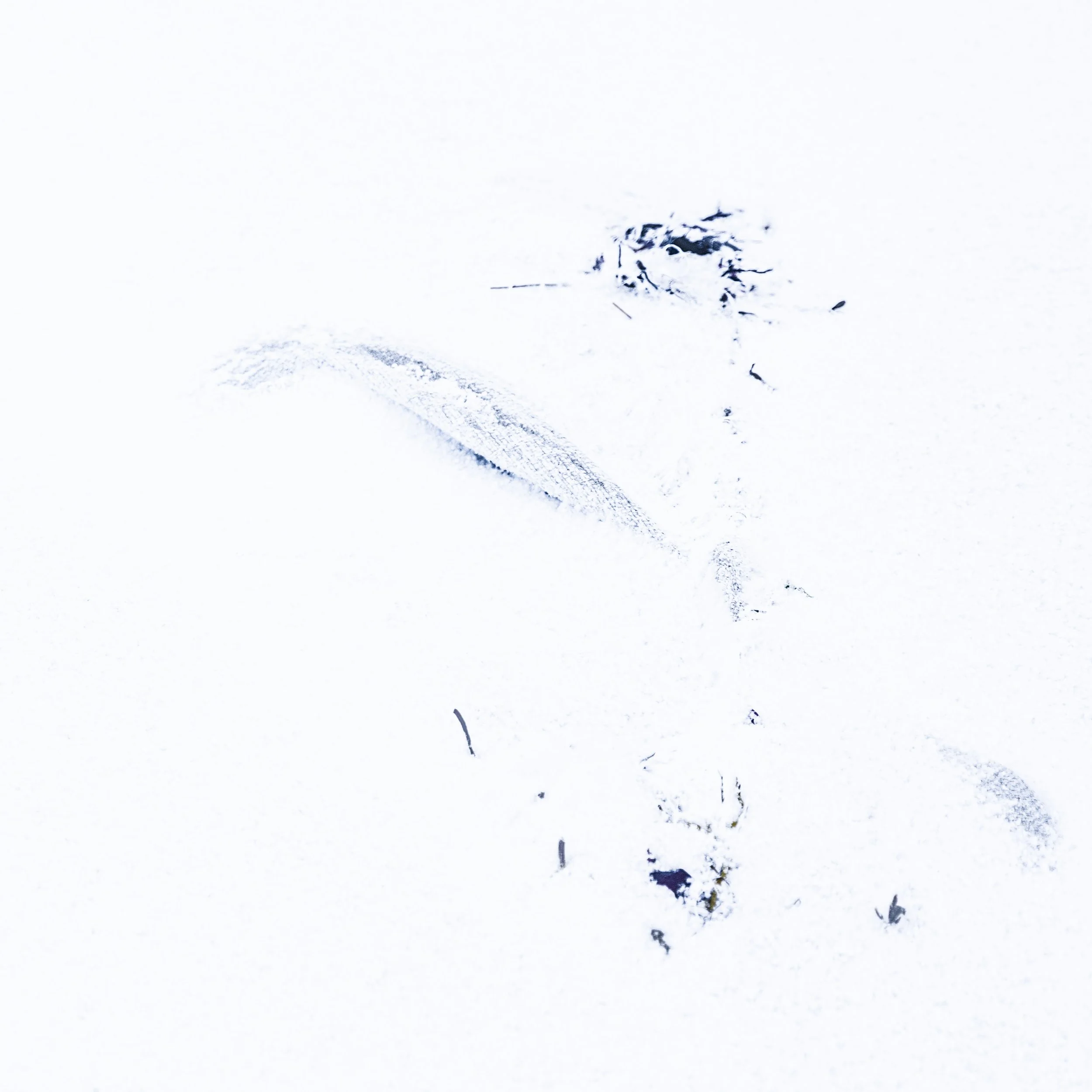 L1000515.jpg