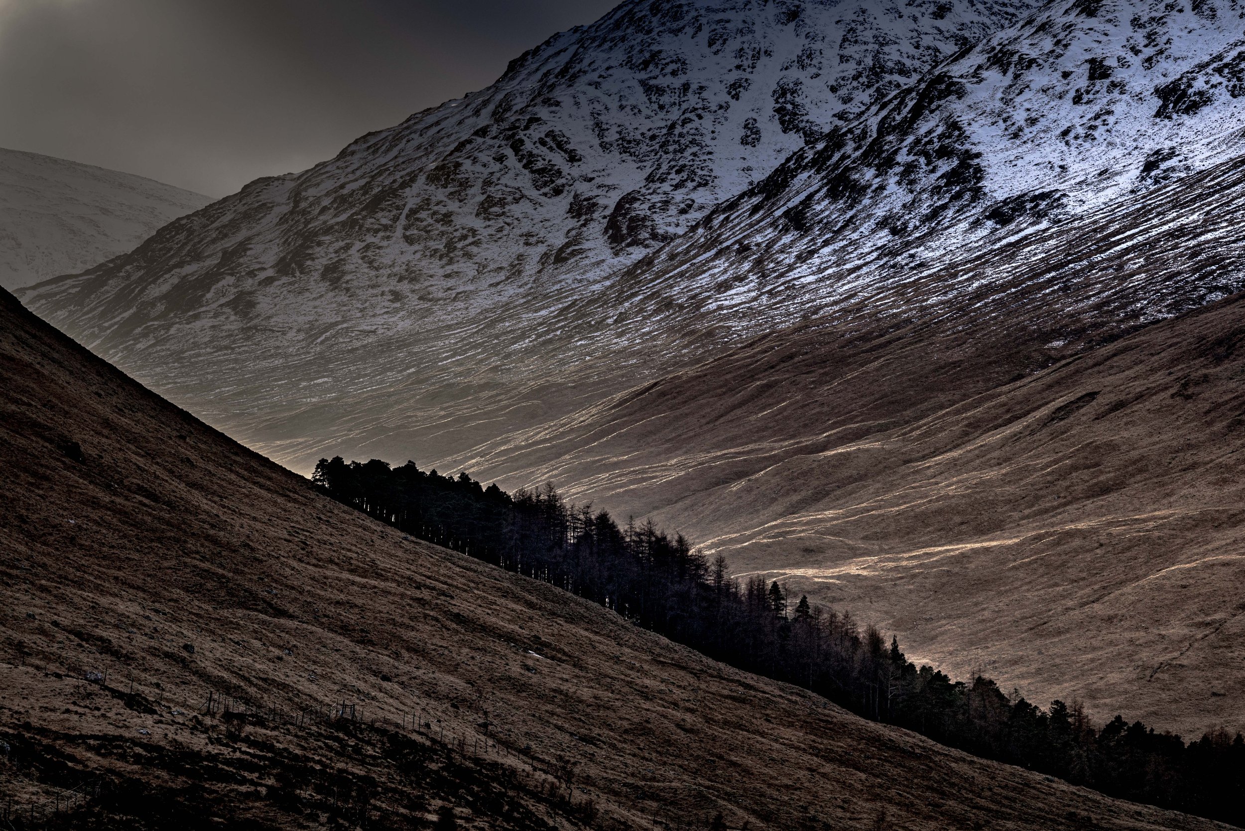 Winter VWH-1050674.jpg