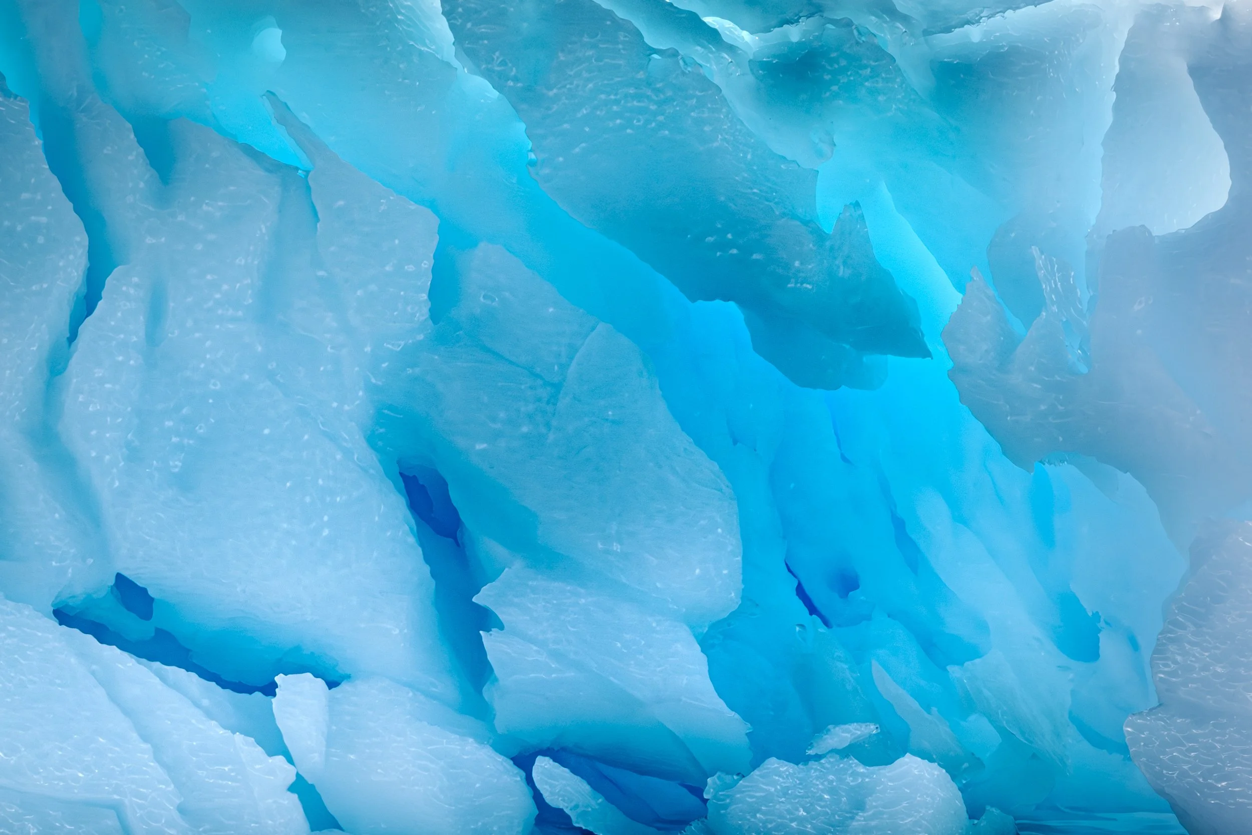 Antarctica