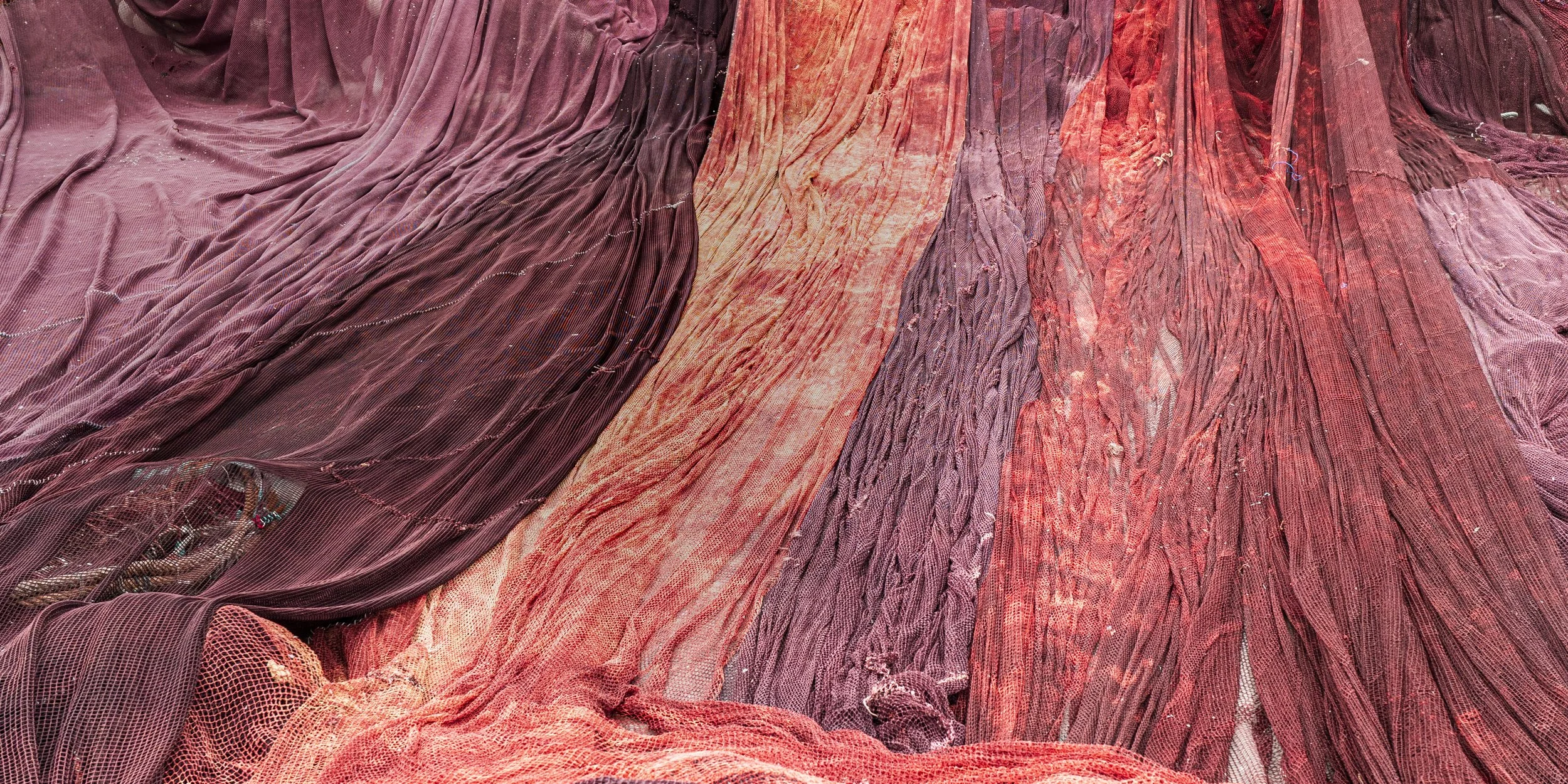 Winter VWH-1003697.jpg