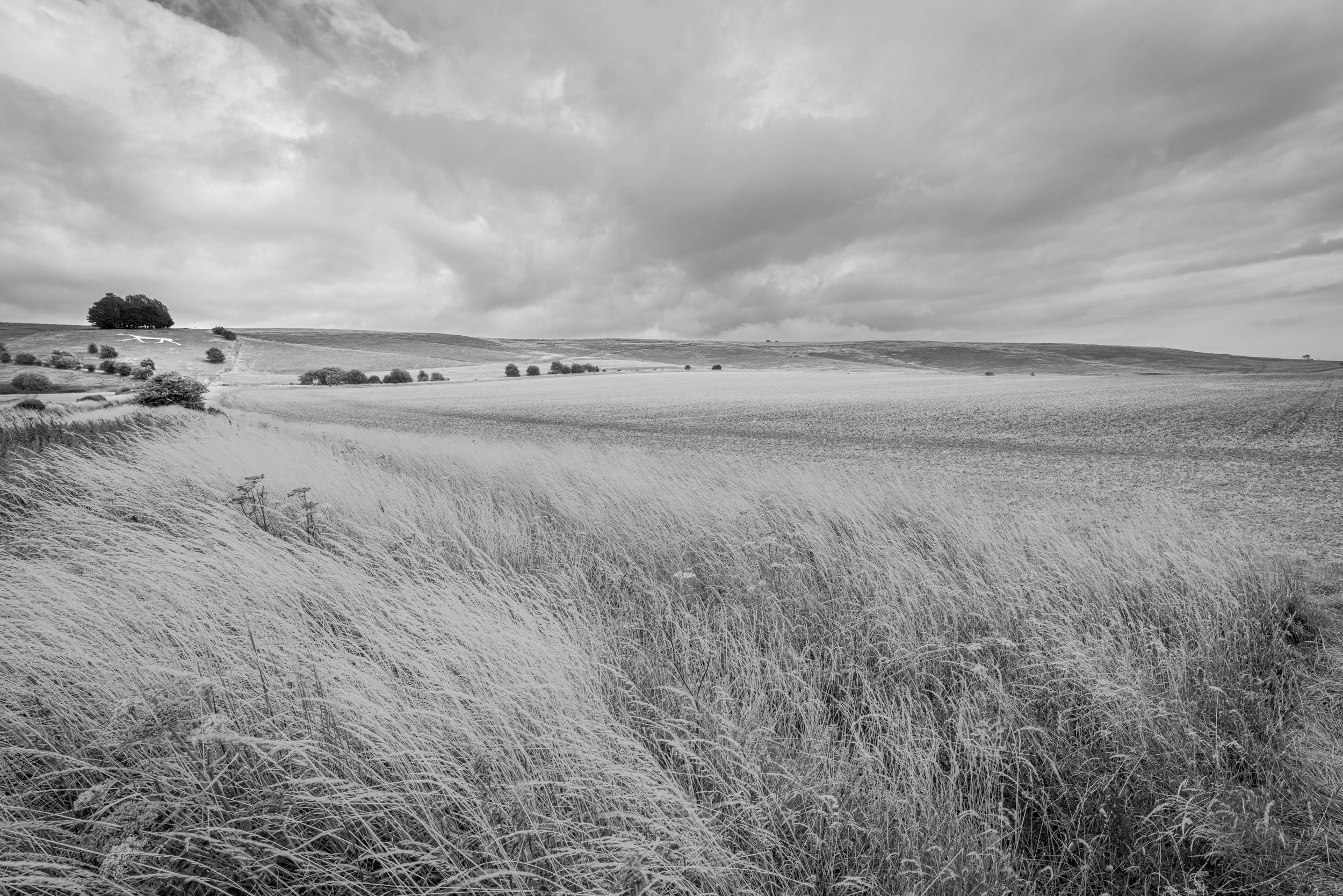 Winter VWH-1080477.jpg