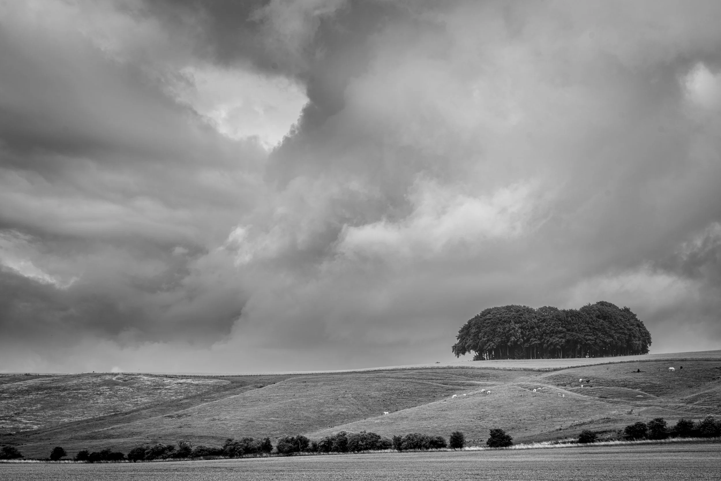 Winter VWH-1080462.jpg