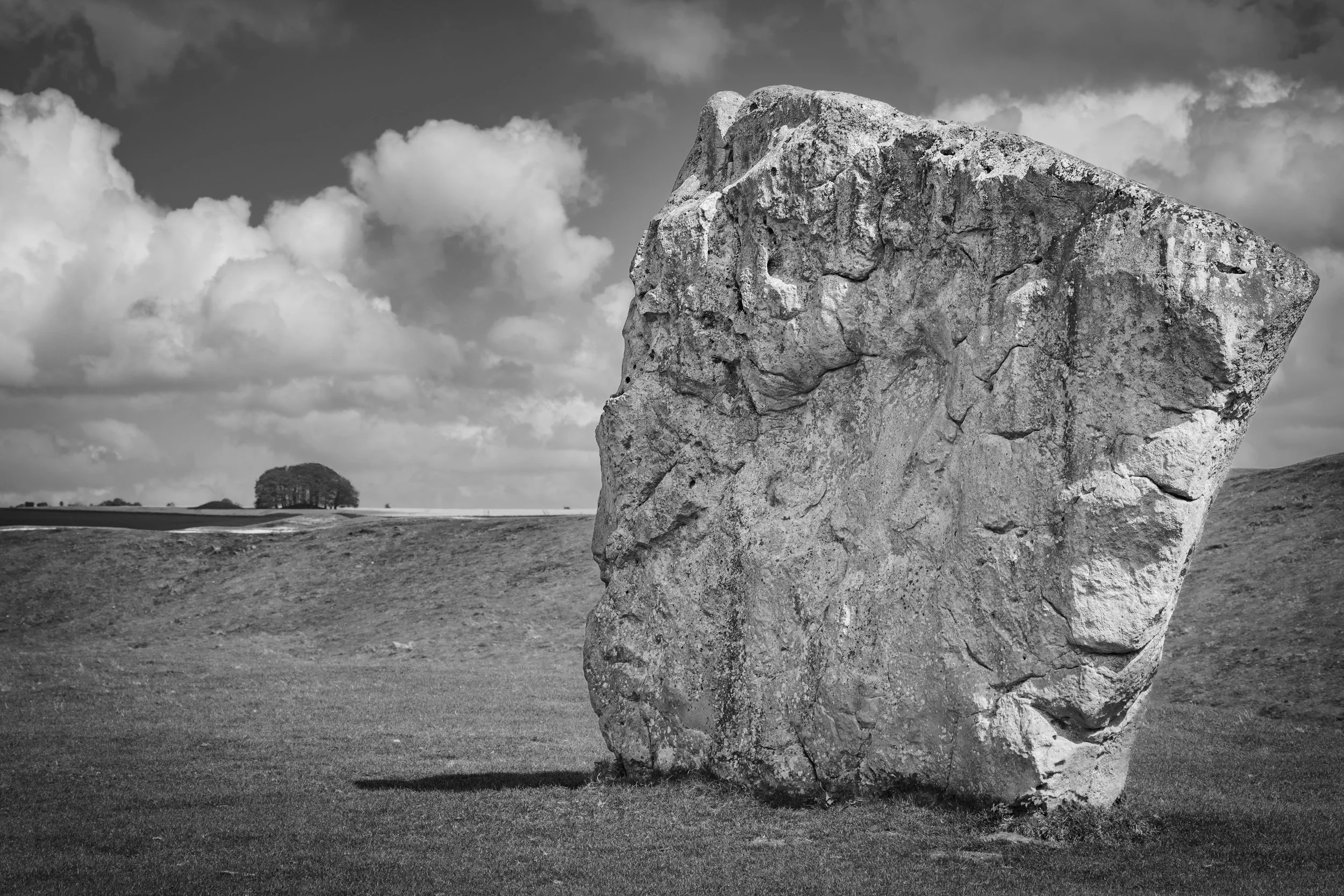 Winter VWH-1030009.jpg