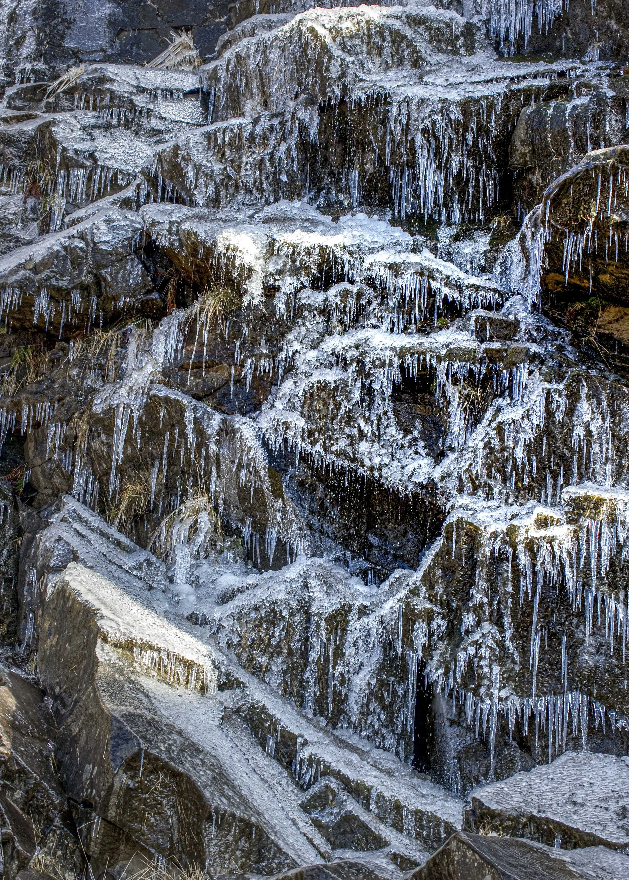 100130-2-Edit.jpg