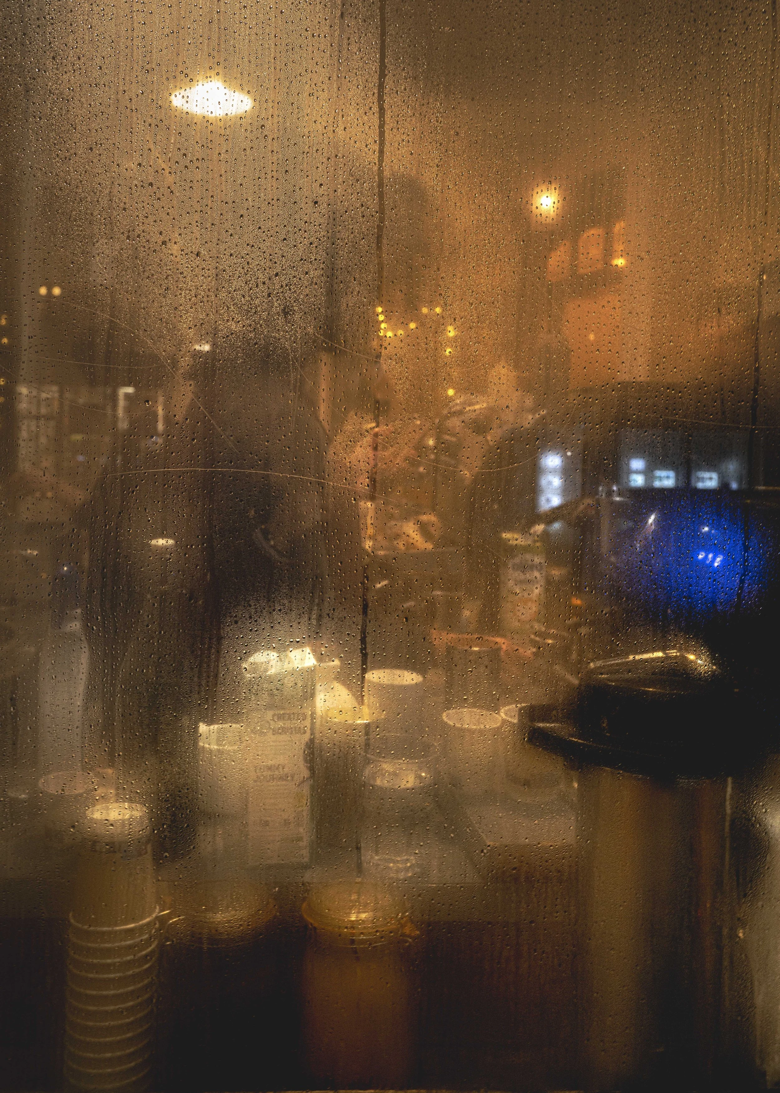 Winter VWH-1002884.jpg