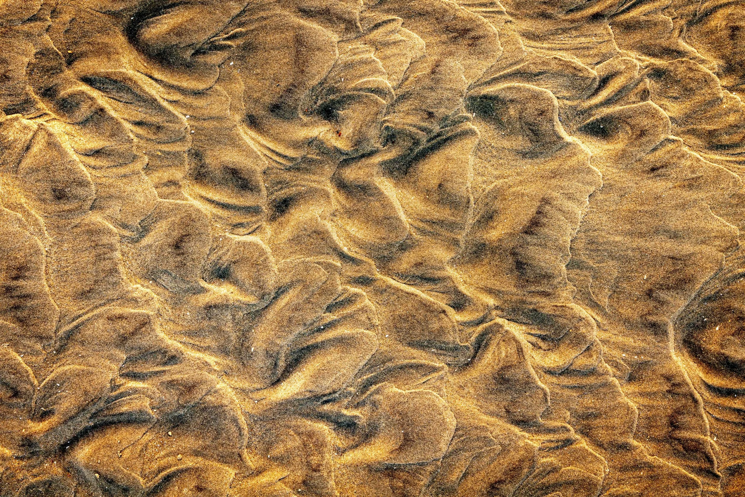 L1030922.jpg