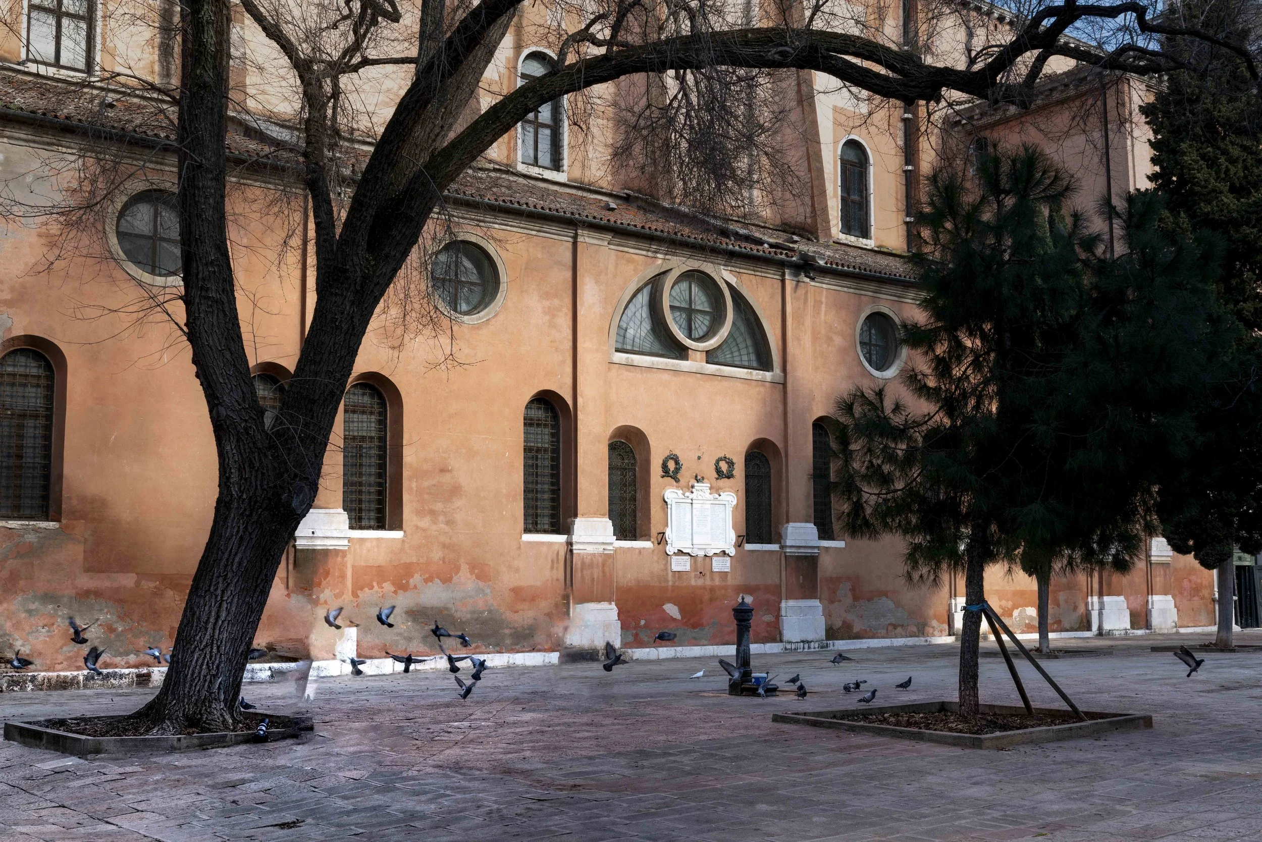 L1010282.jpg