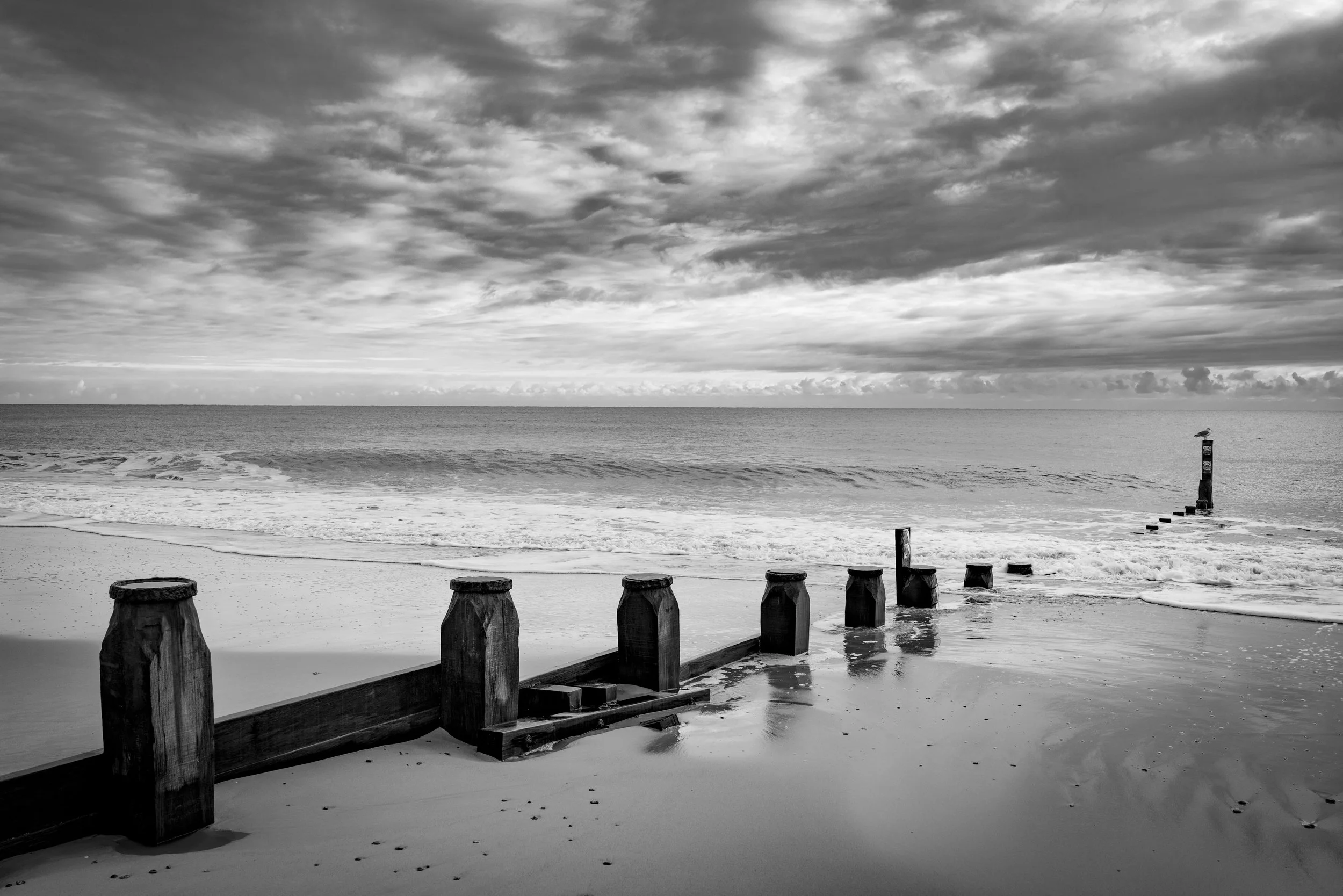 Winter VWH-1090681.jpg