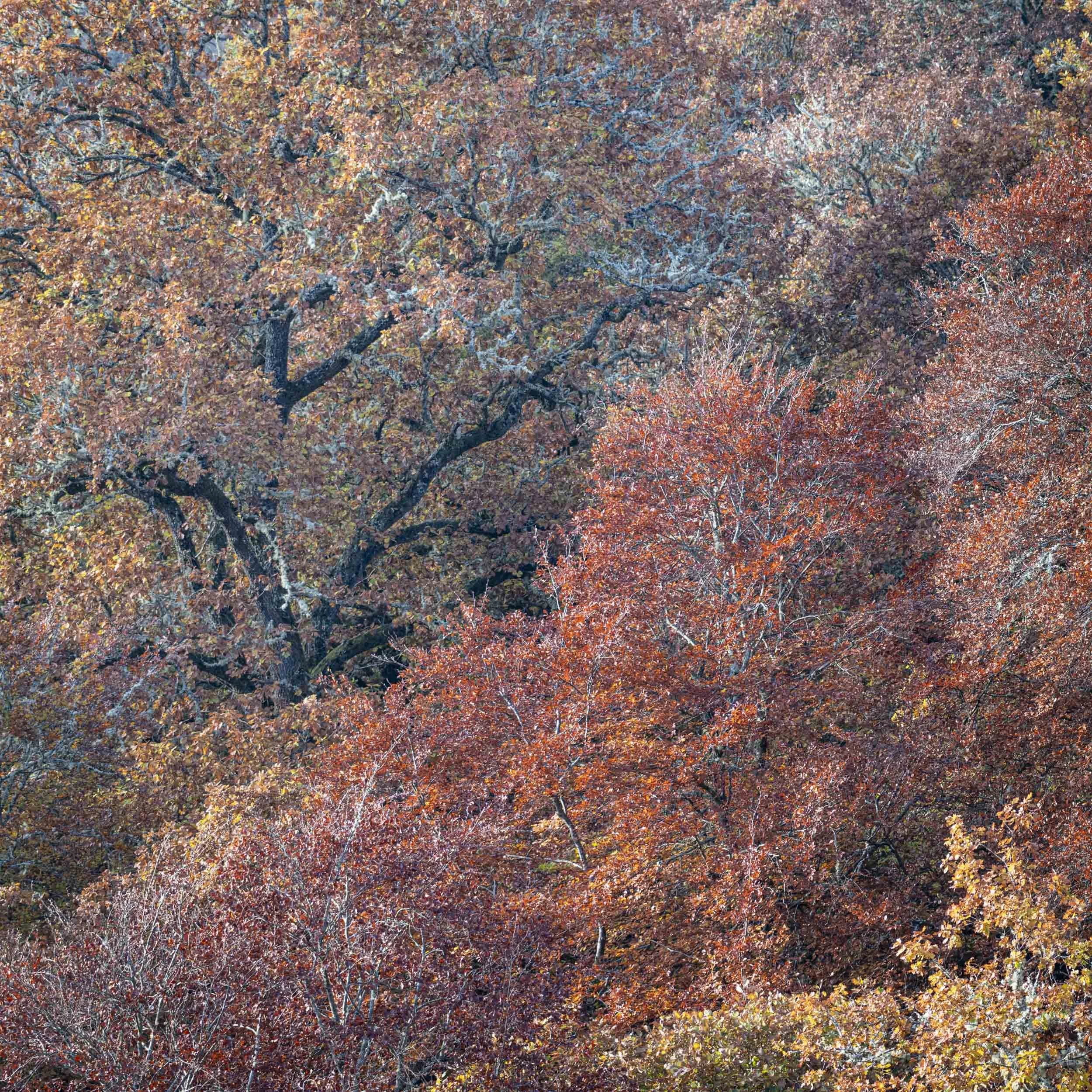 L1010332.jpg