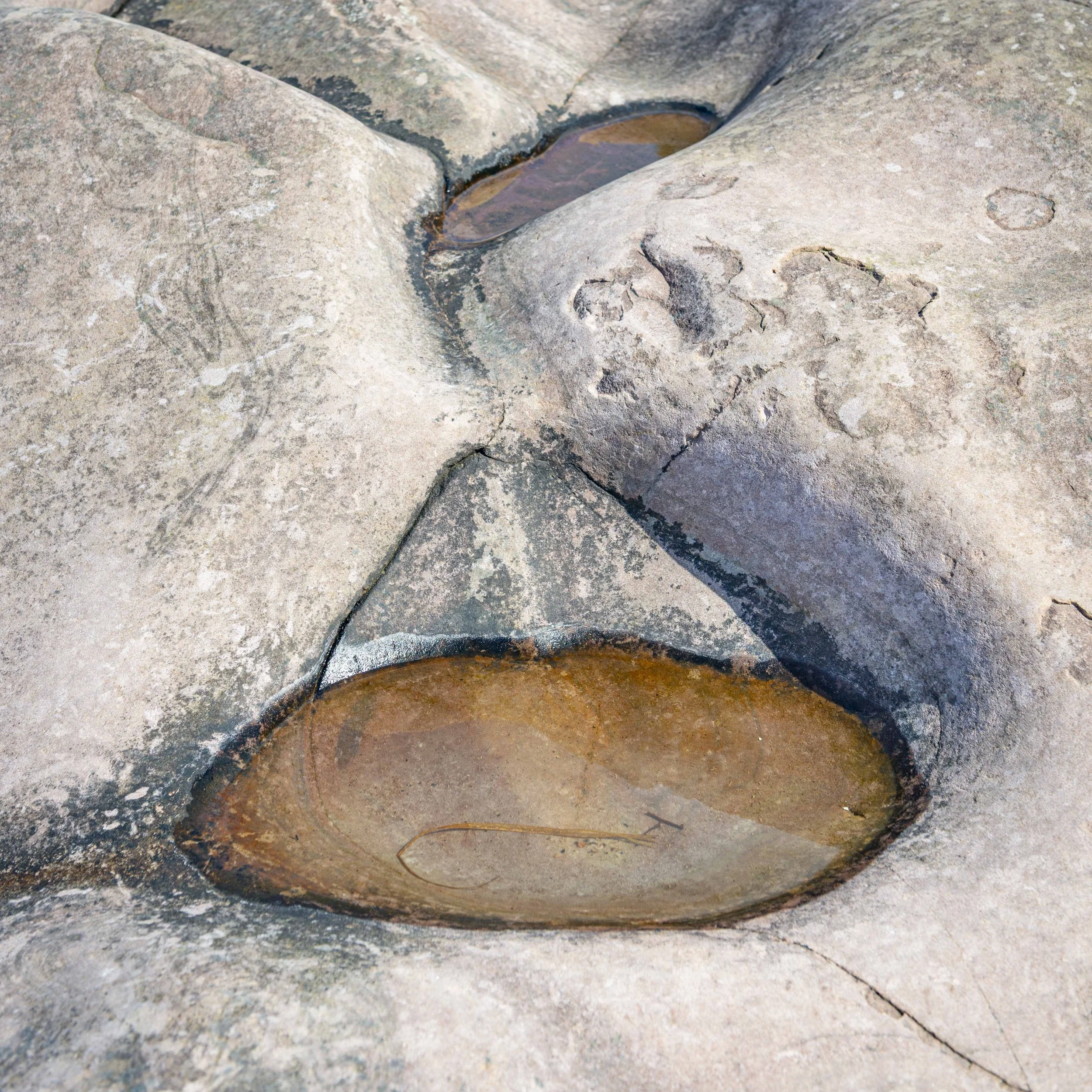 _DSC3602.jpg