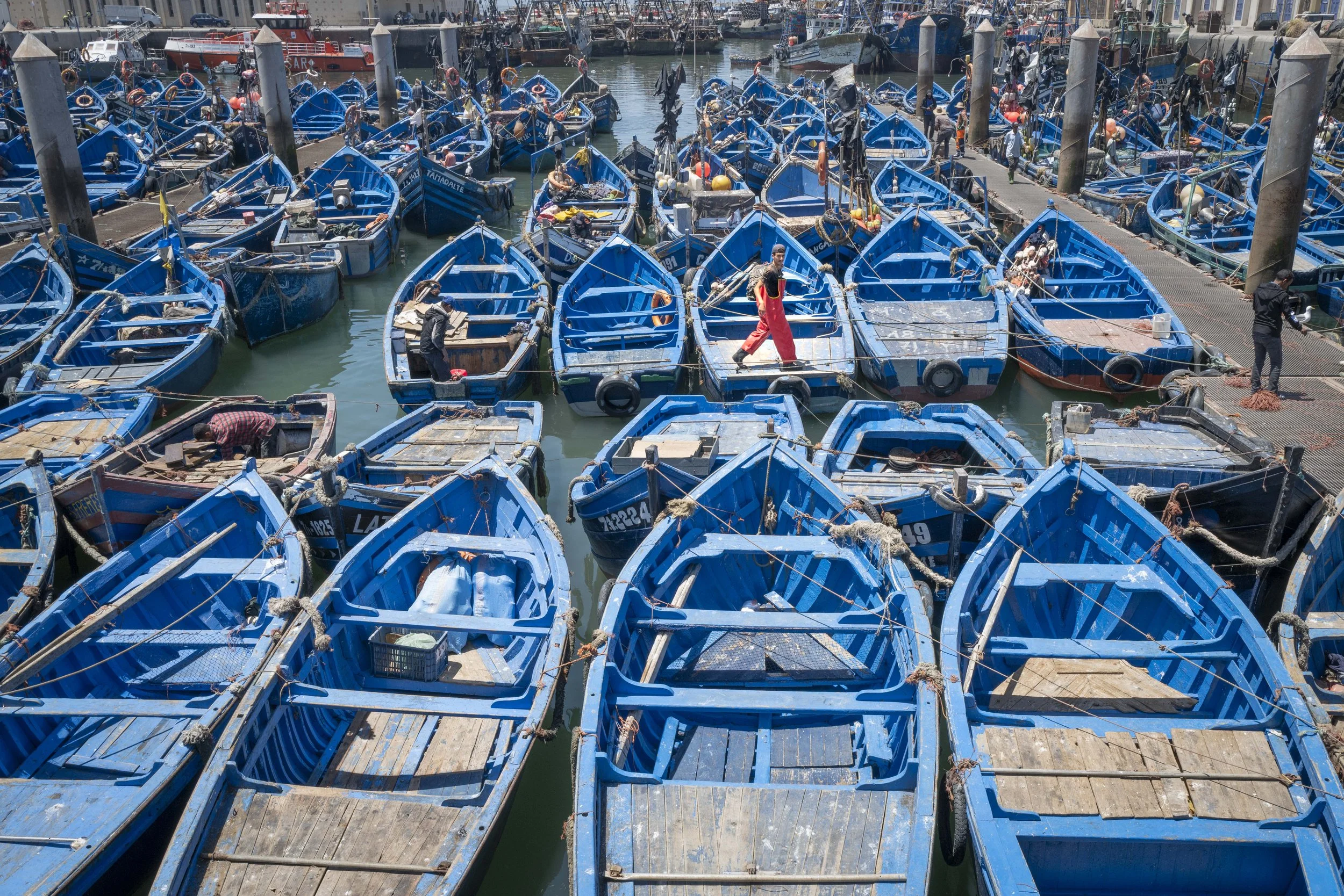 Winter VWH-1004093.jpg