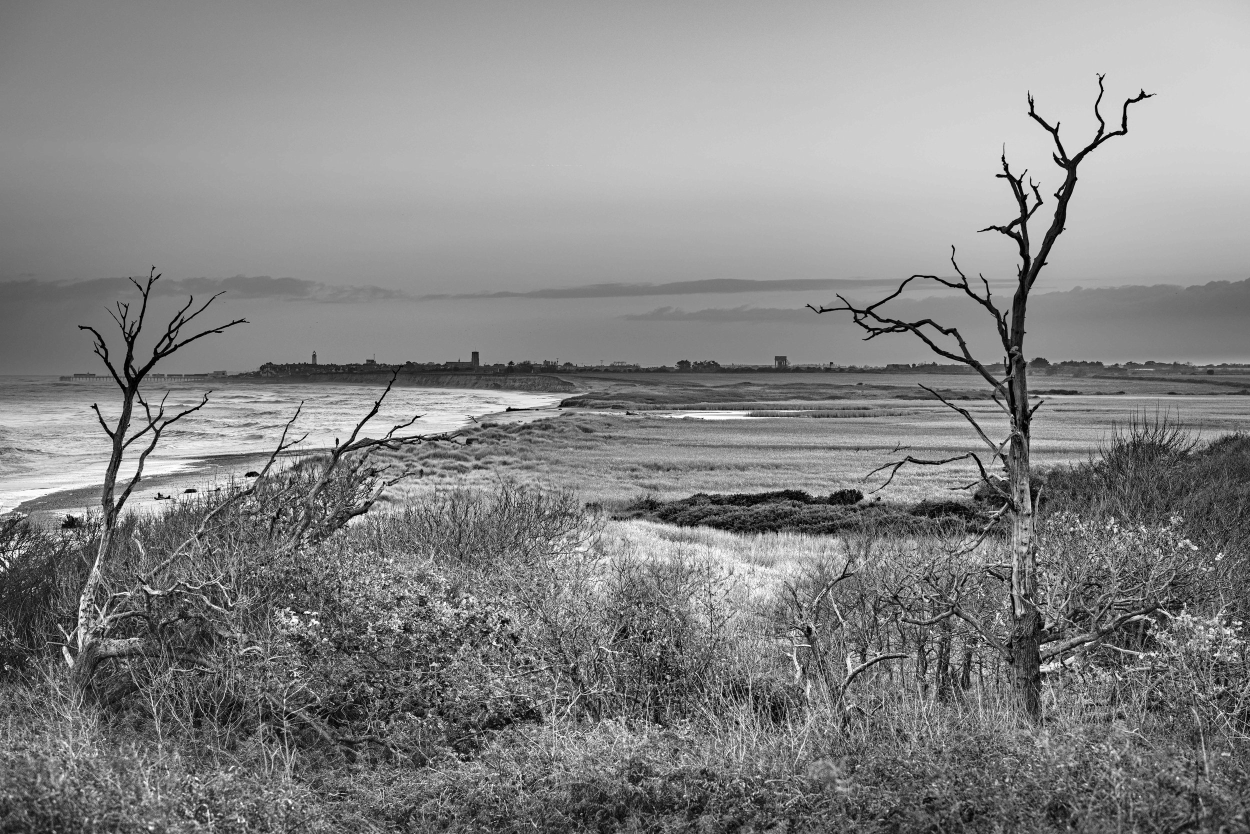 Winter VWH-1090565.jpg