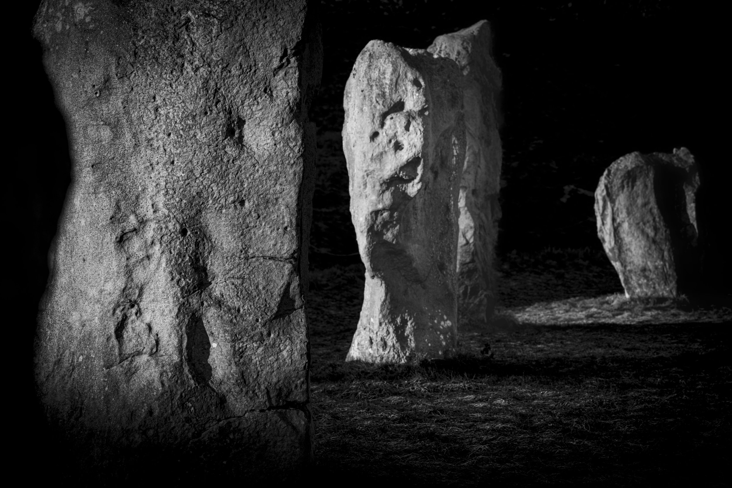 Winter VWH-1100925.jpg