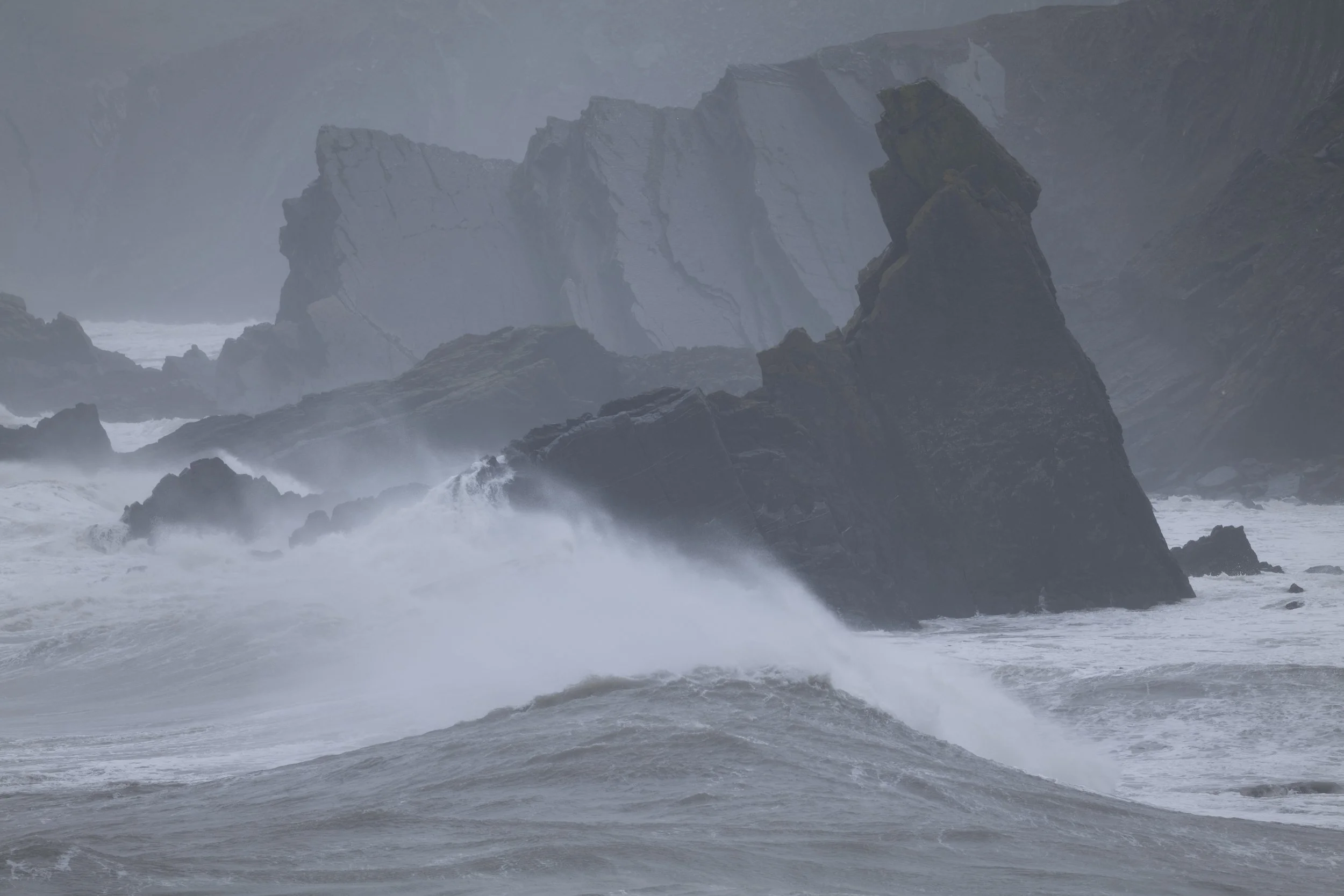 Winter VWH-1070716.jpg