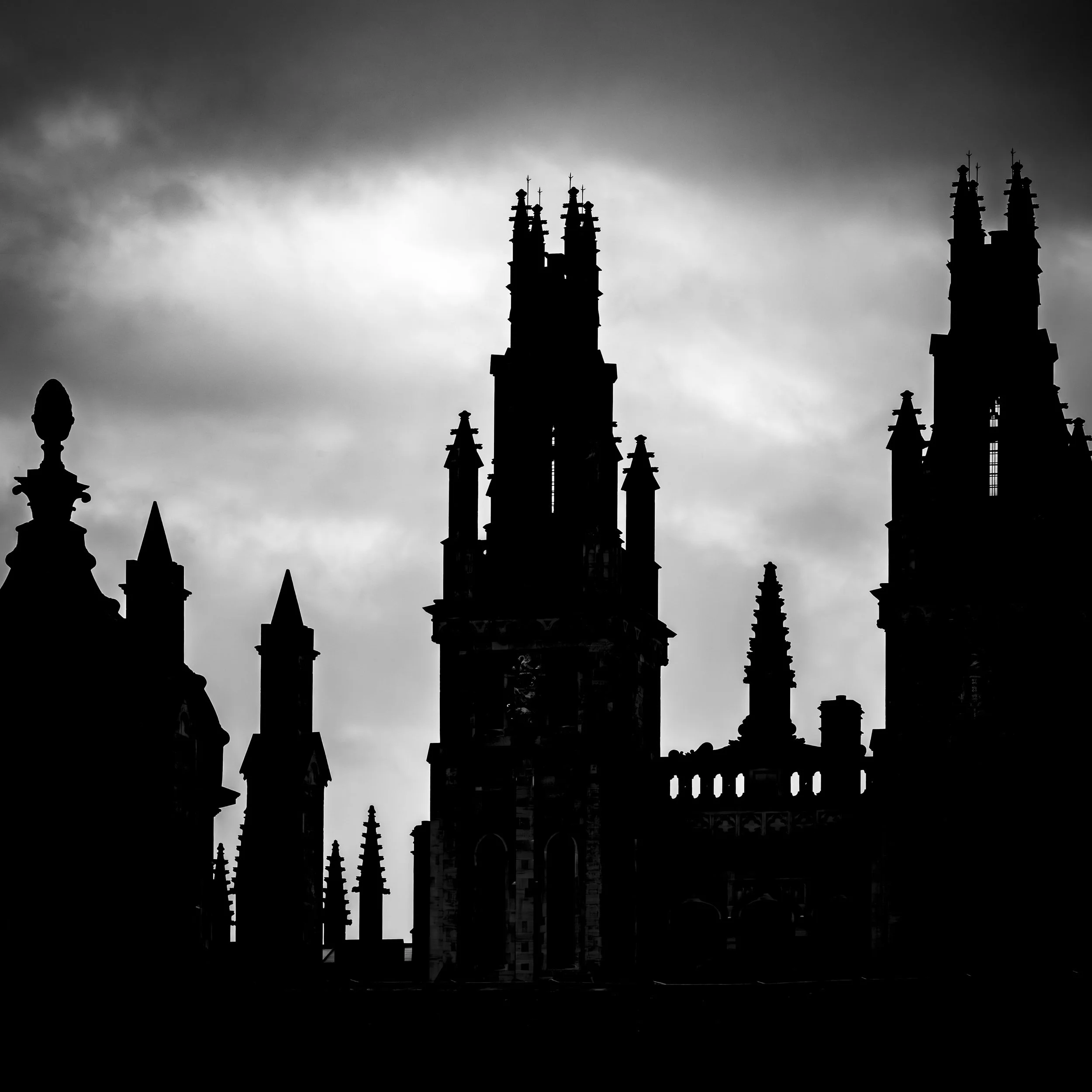 L1010681-Enhanced-NR.jpg