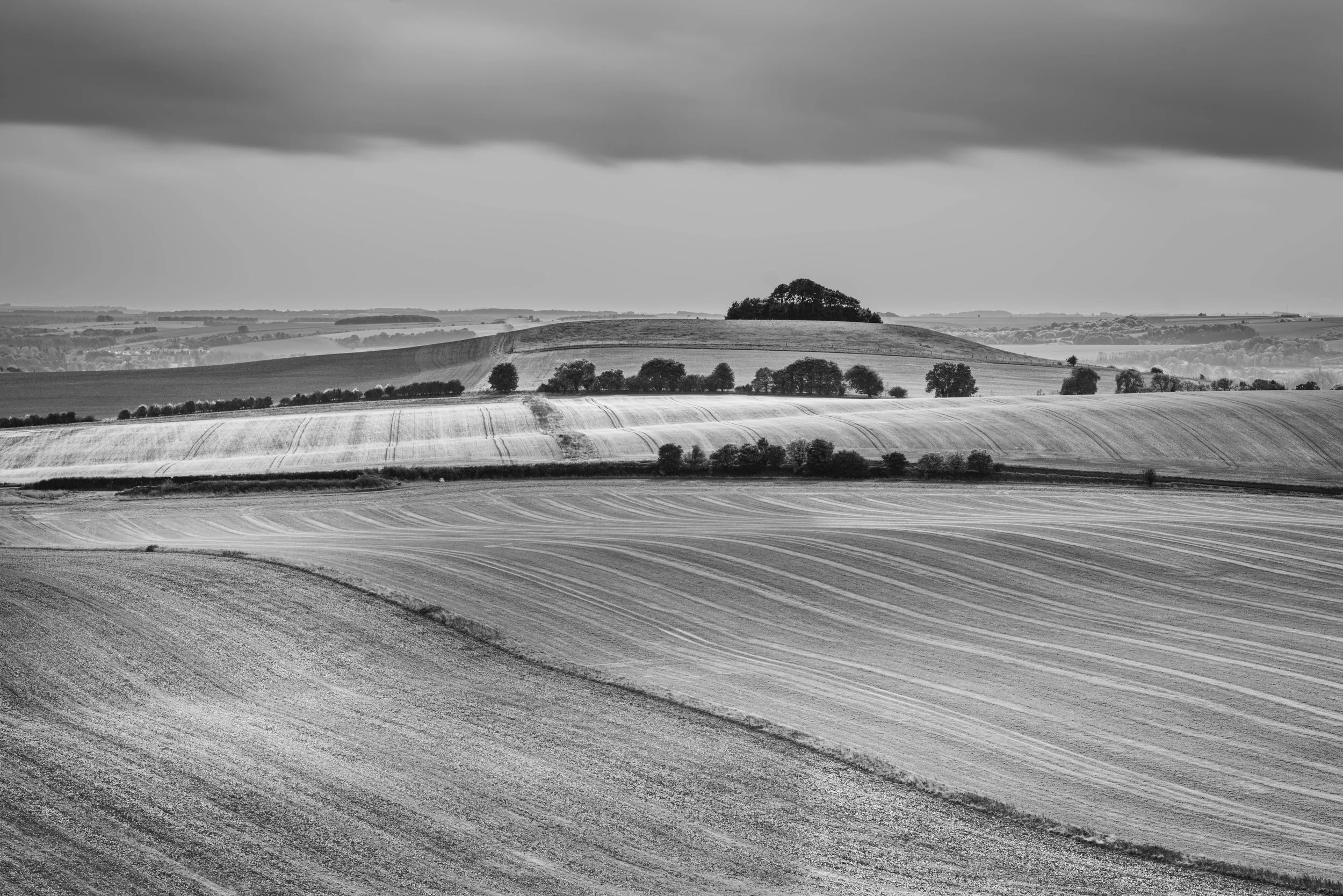 Winter VWH-1000051.jpg