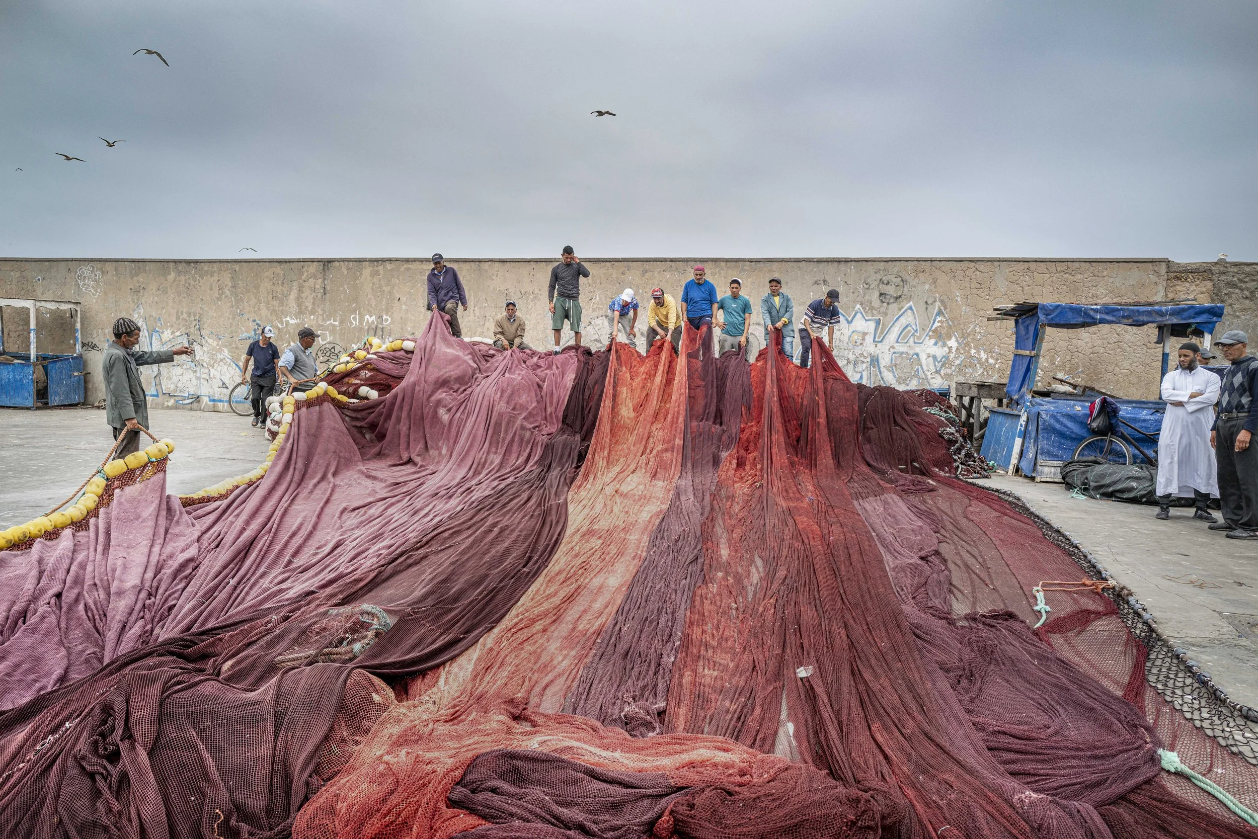 Winter VWH-1003692.jpg