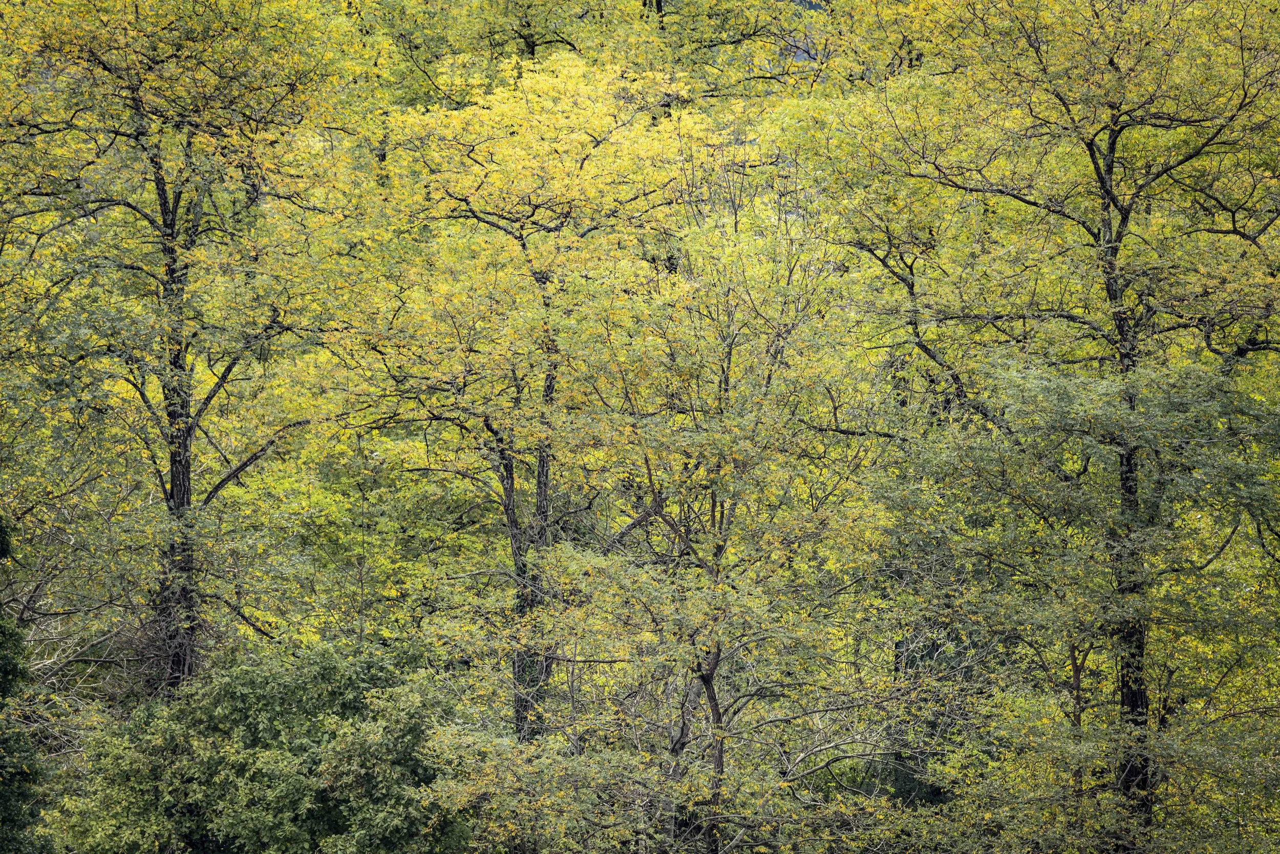 L1040461.jpg